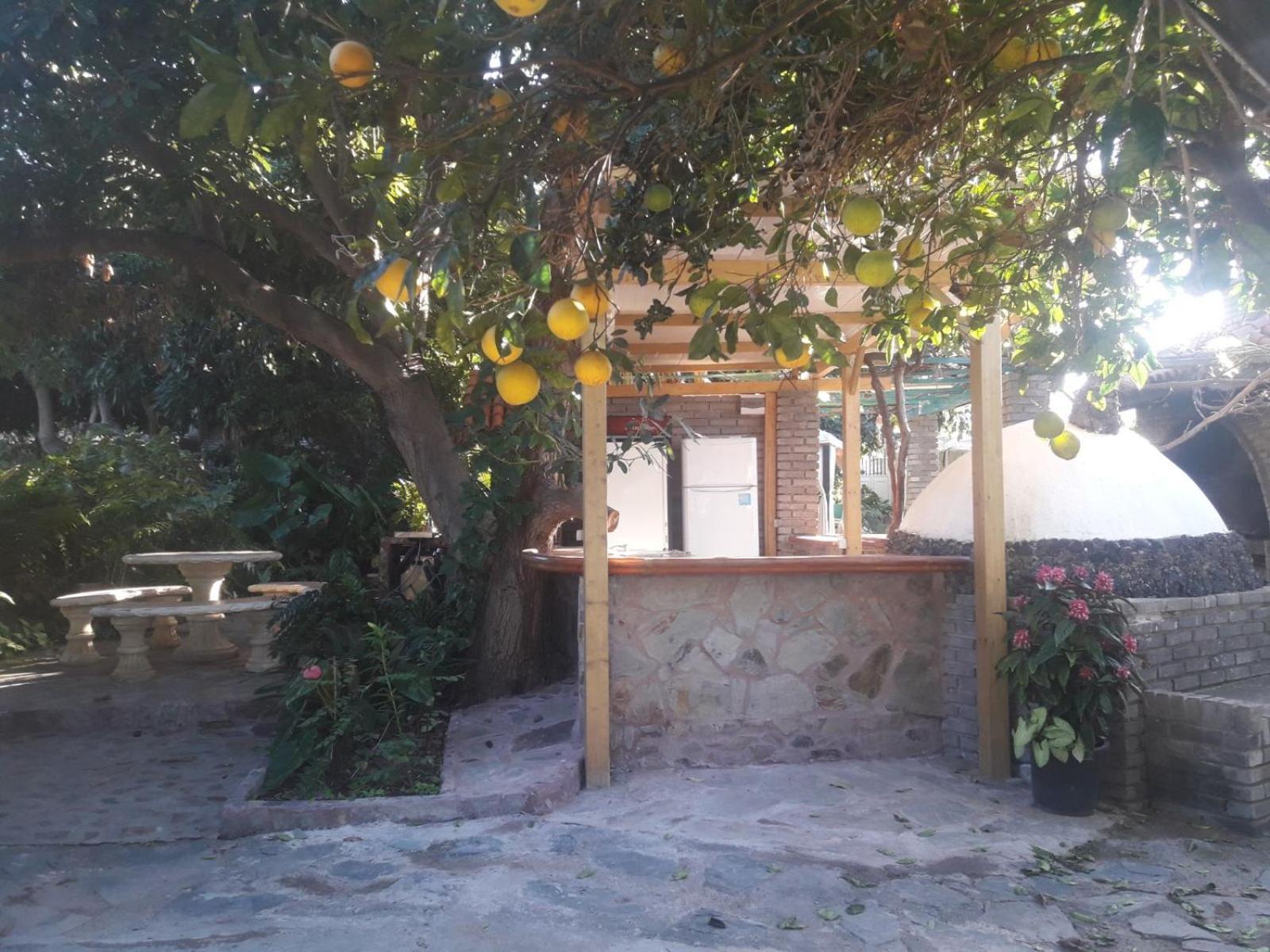 Aguacates Apartment Trapiche (Las Palmas)