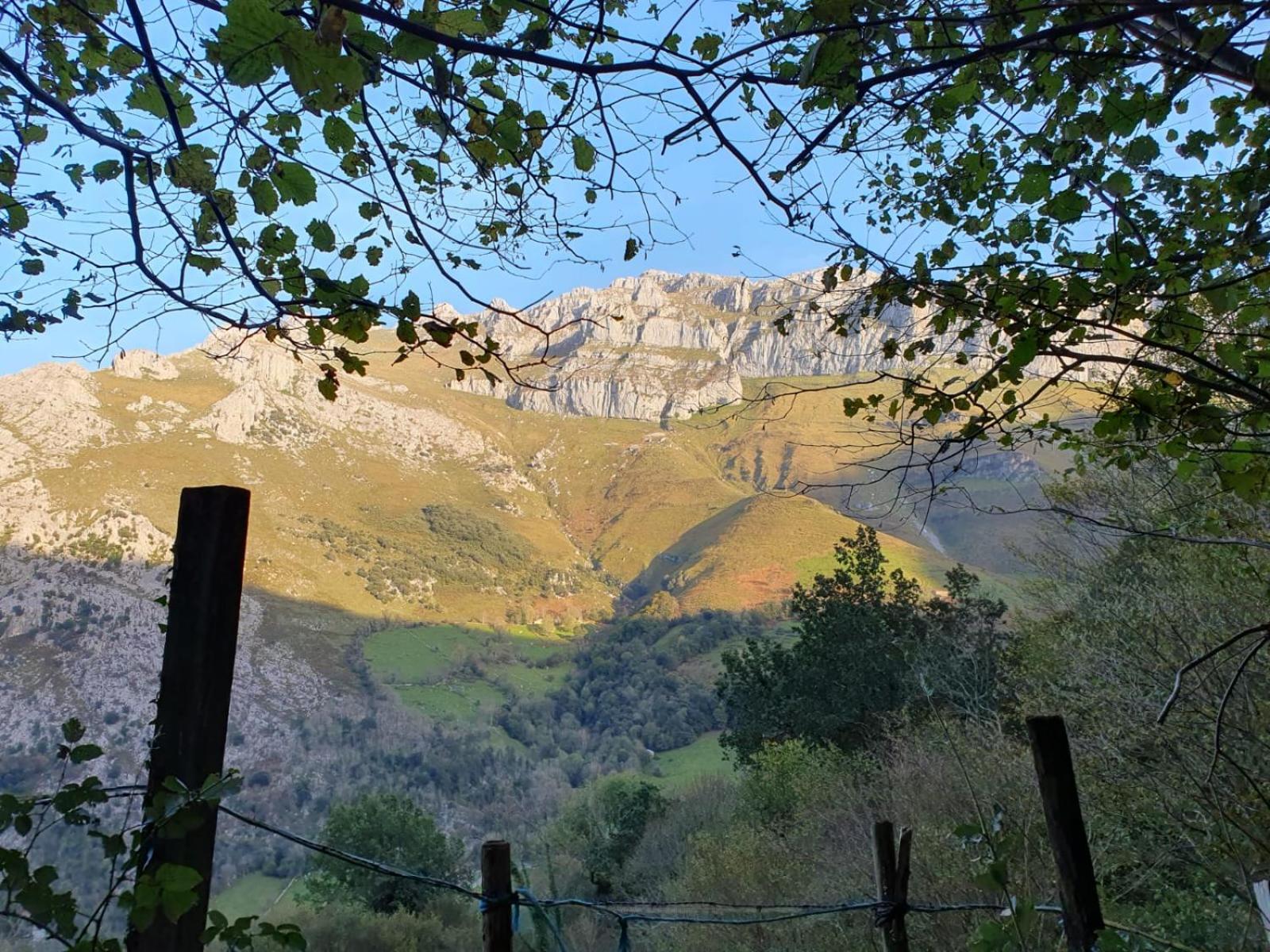 Casucas De Ason Arredondo