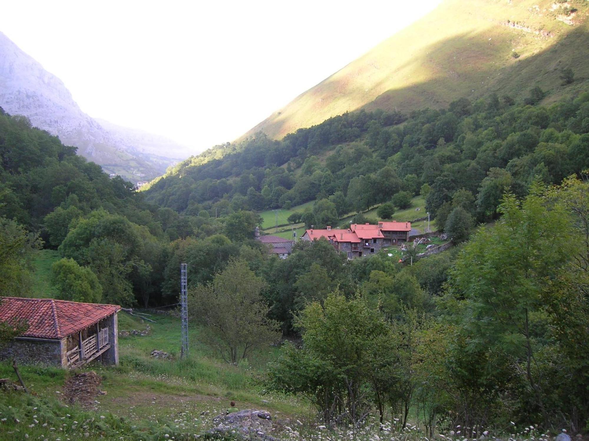 Casucas De Ason