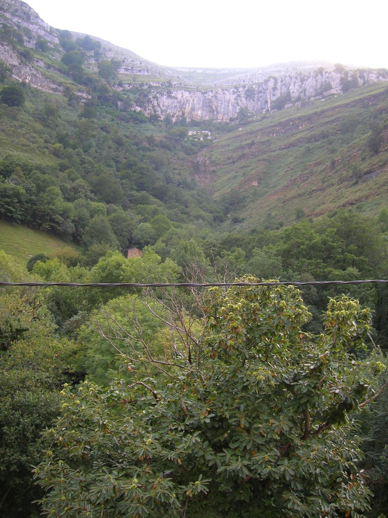 Casucas De Ason