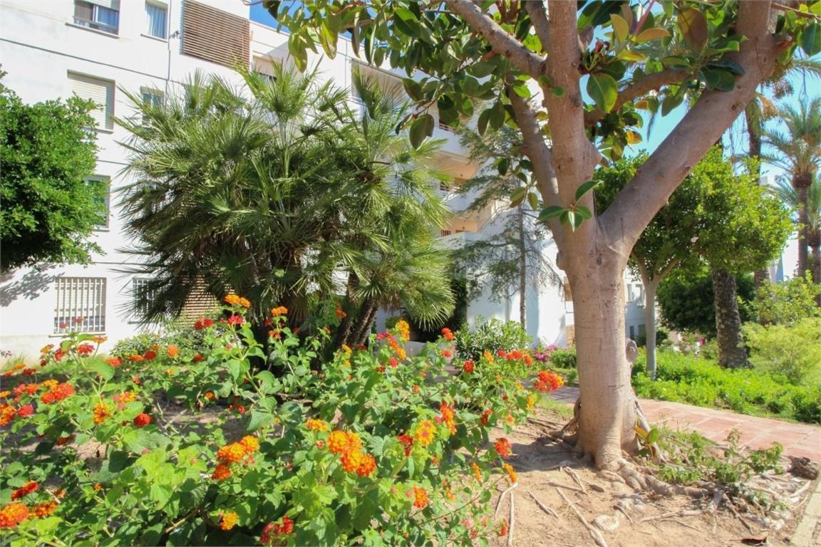 Myflats * Gran Alacant