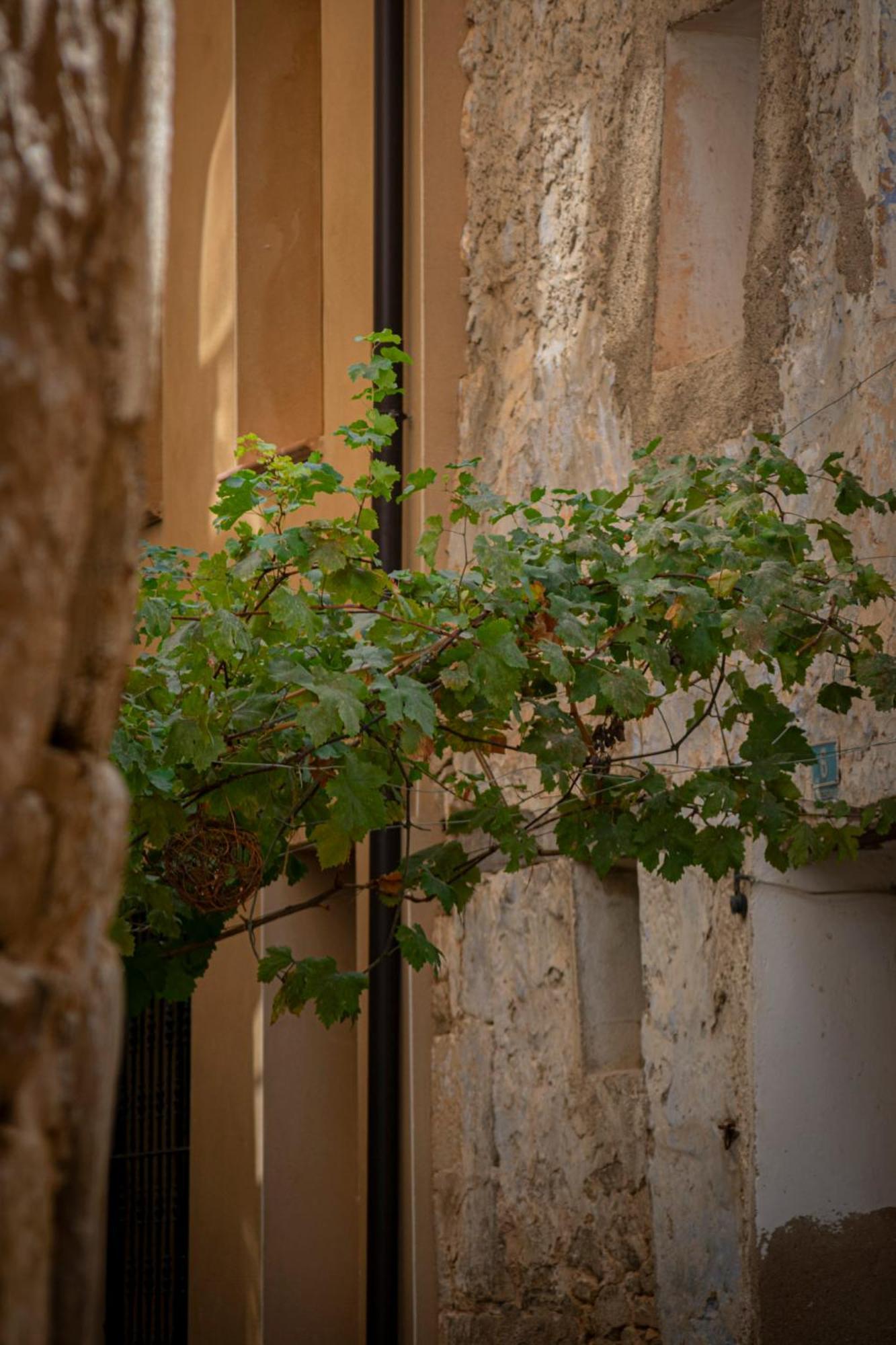 Casa Alta * Valderrobres