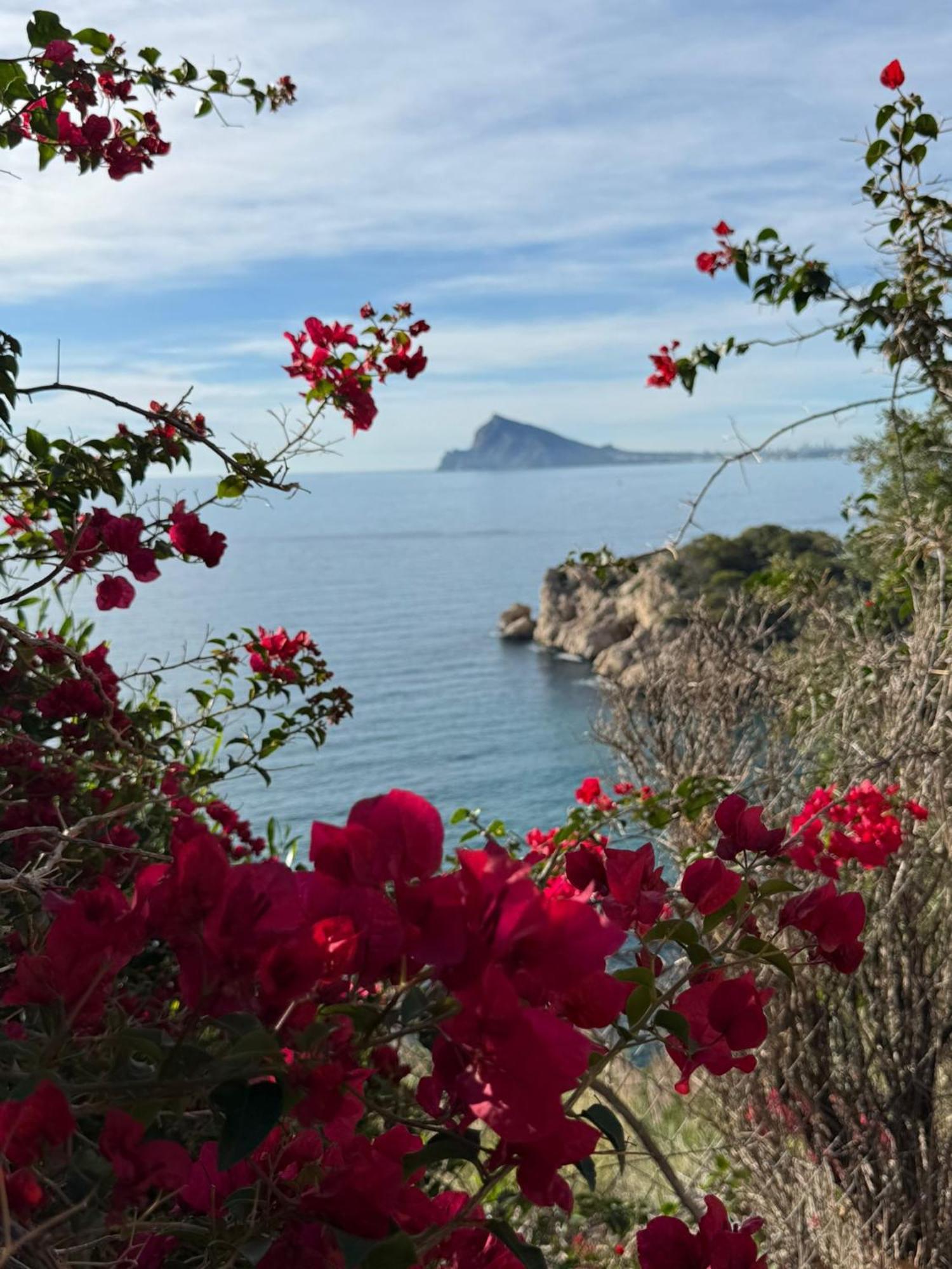 Apartamento Flaming Topacio Calpe