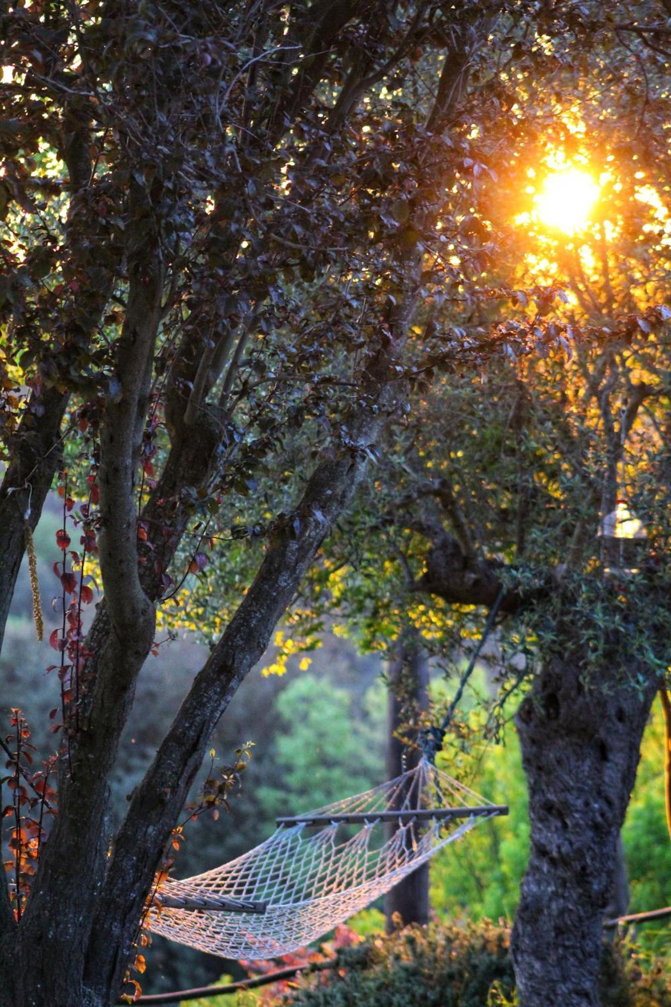 Country house Masia Can Felip Llinars del Valles