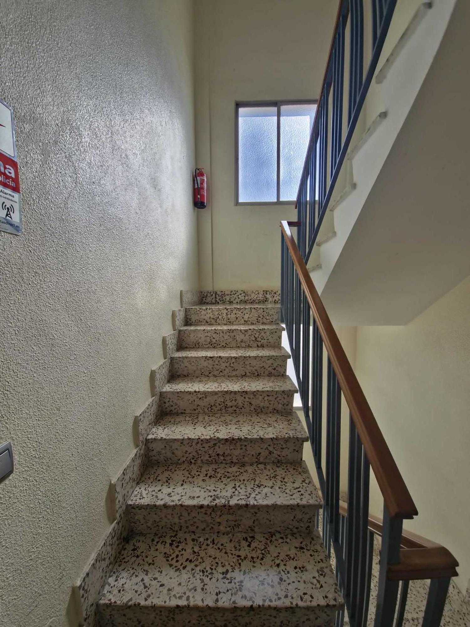 Céntrico La Catedral Apartamento Murcia