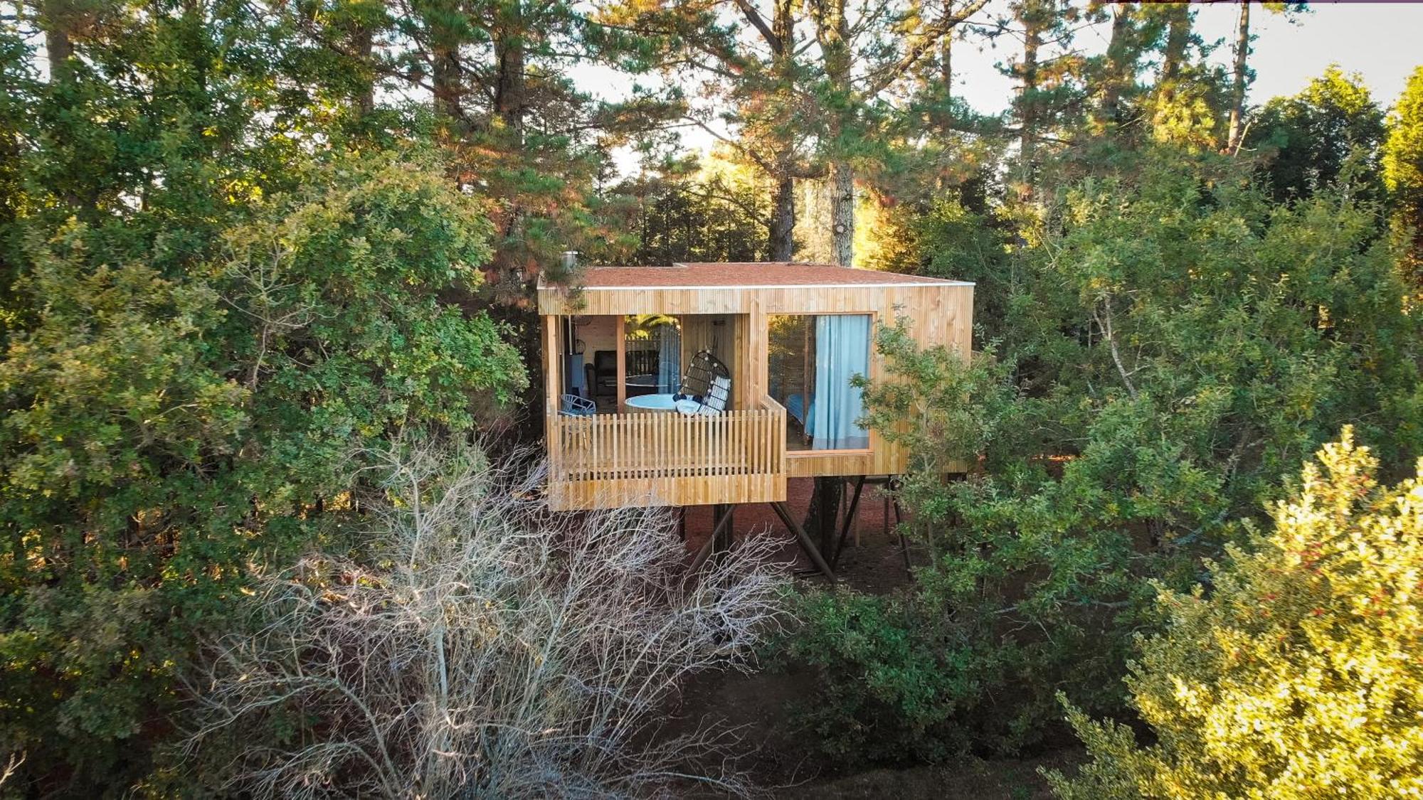 Villa Holacamp Camino