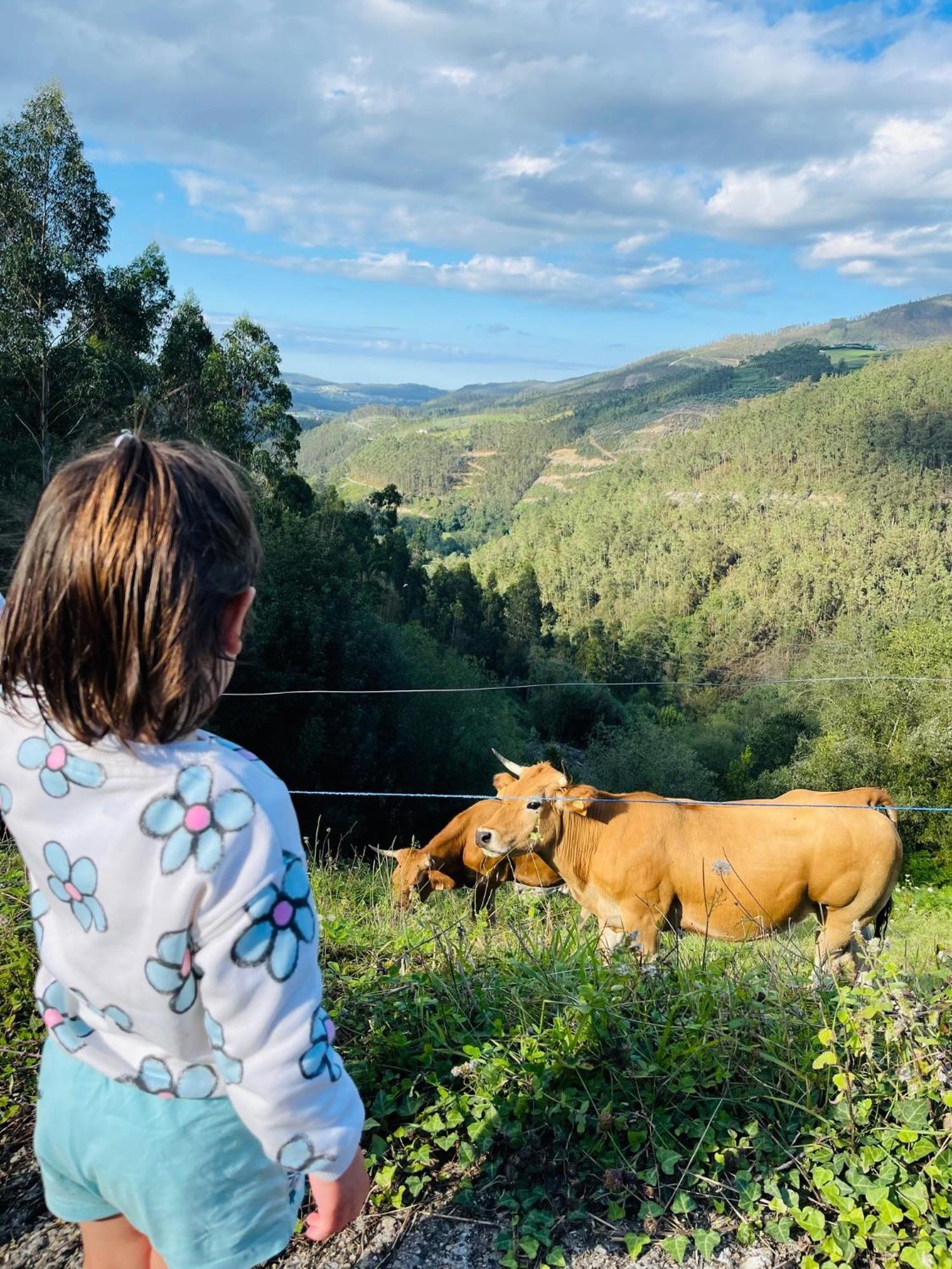 Casa Neto Goje Сasa de vacaciones San Tirso de Abres