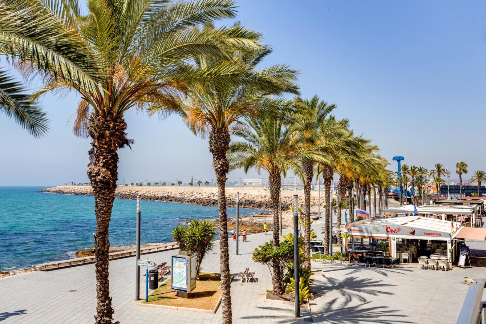 Concordia Beachside Apartment: Near Del Cura & Station Apartment Torrevieja