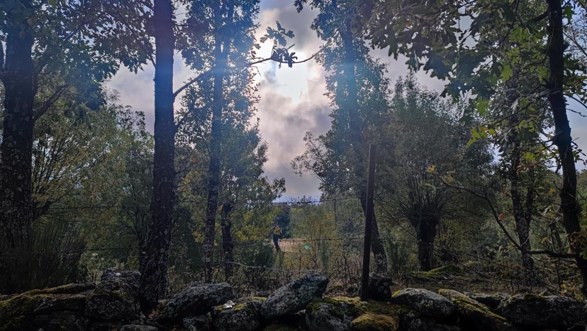 El Rincon De Gredos *