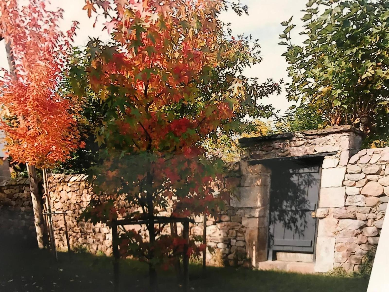 Casa Cos