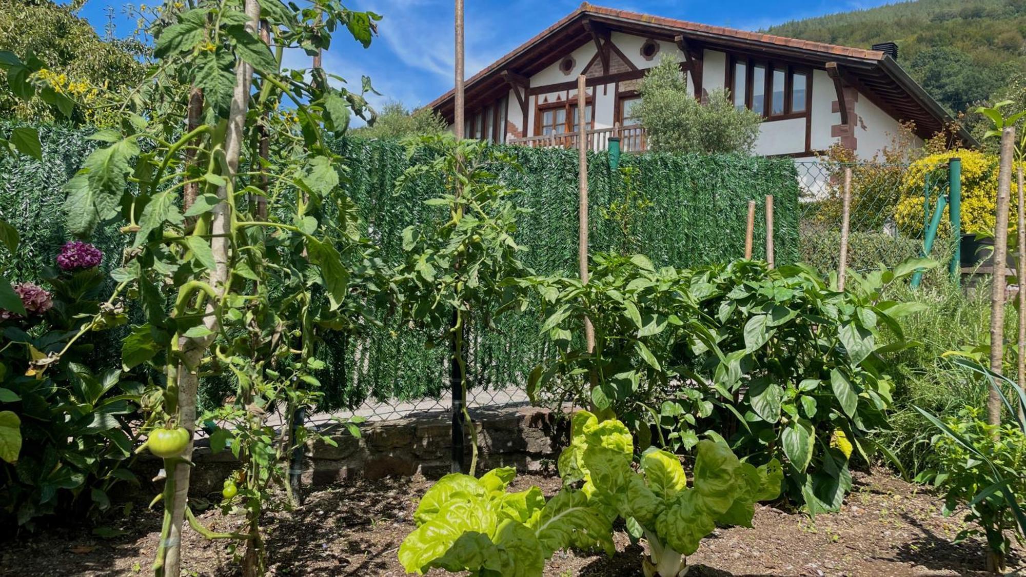 Casa rural Matxiku Aurre Berástegui (Berastegi)