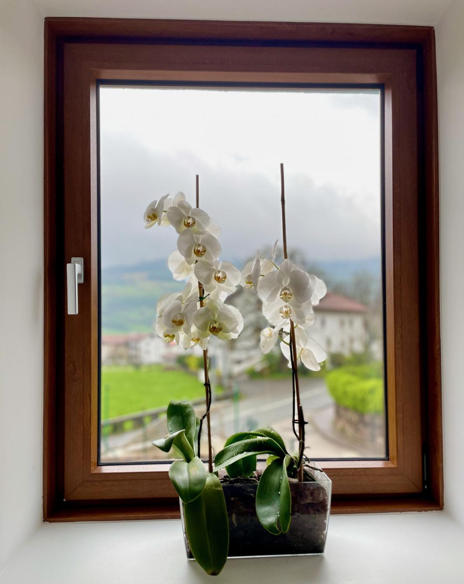 Casa rural Matxiku Aurre