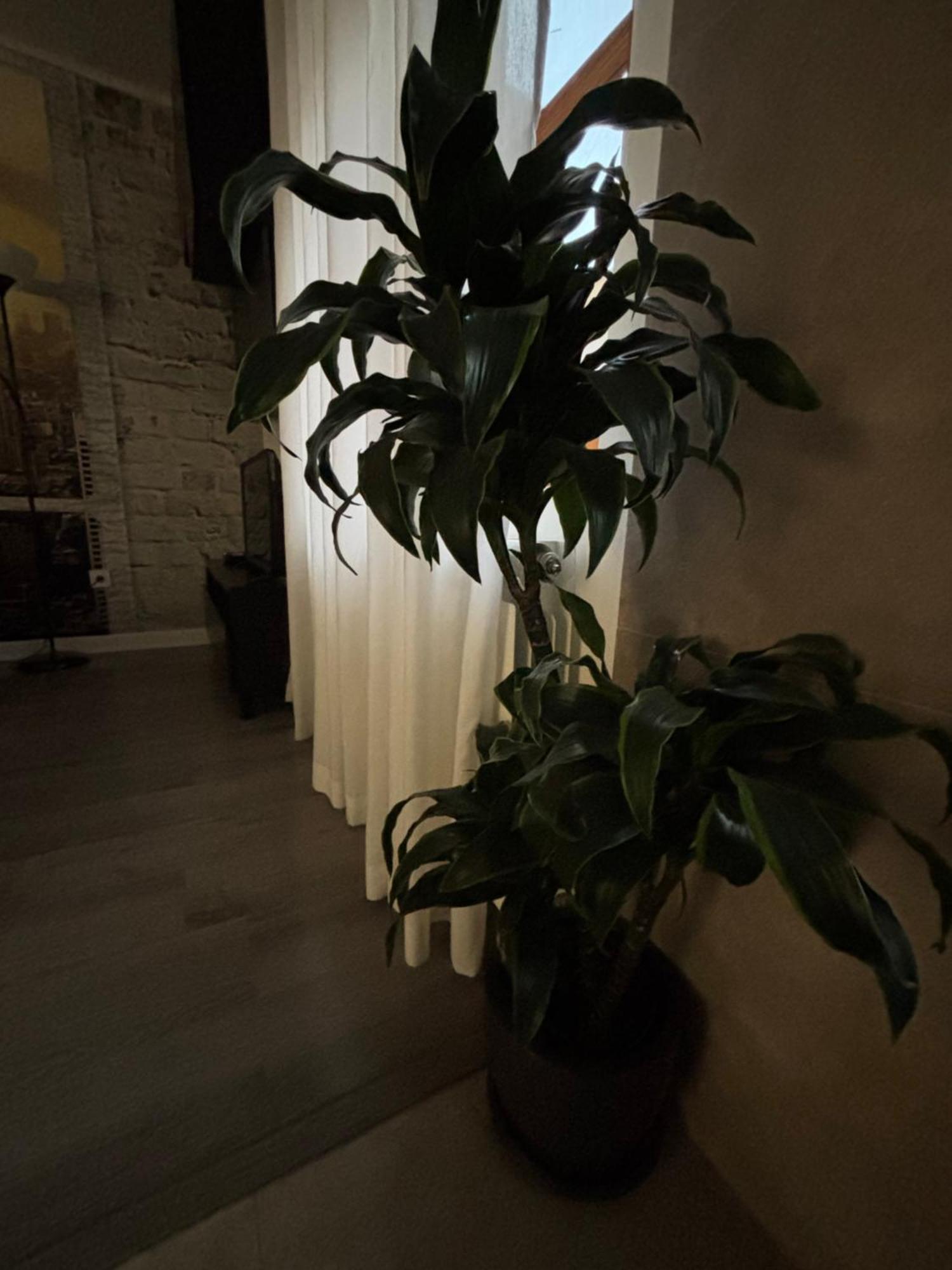 Apartamento Paula Valladolid