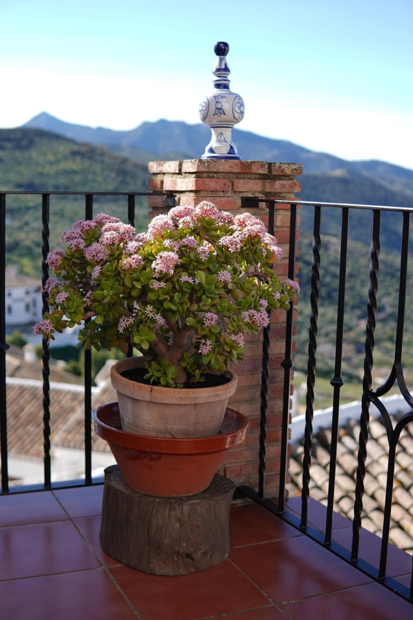 Mirador Del Farmaceutico Holiday home *