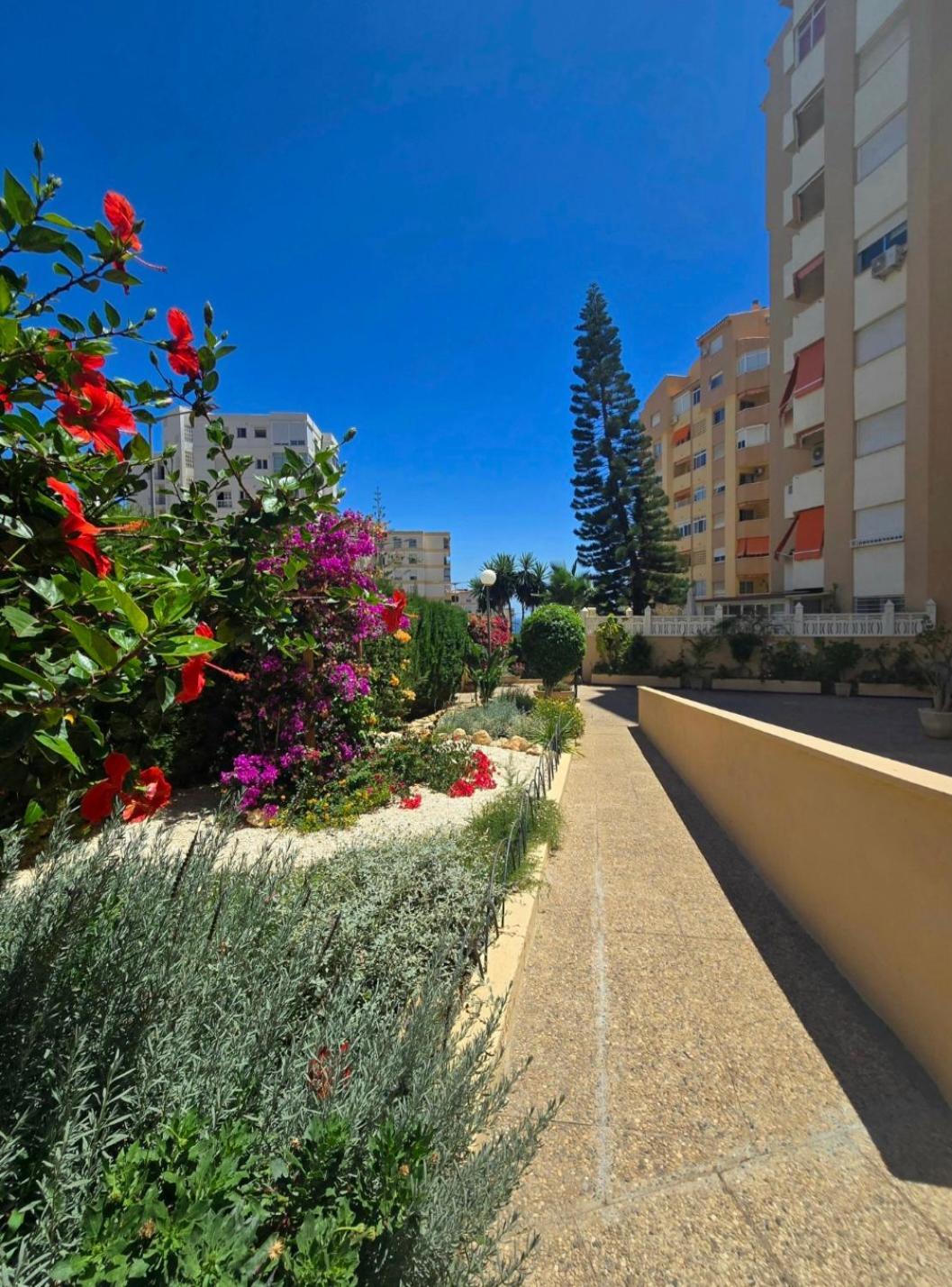 Apartment Mikasika - Duplex With Seasonal Swimming Pool & Walking Distance From The