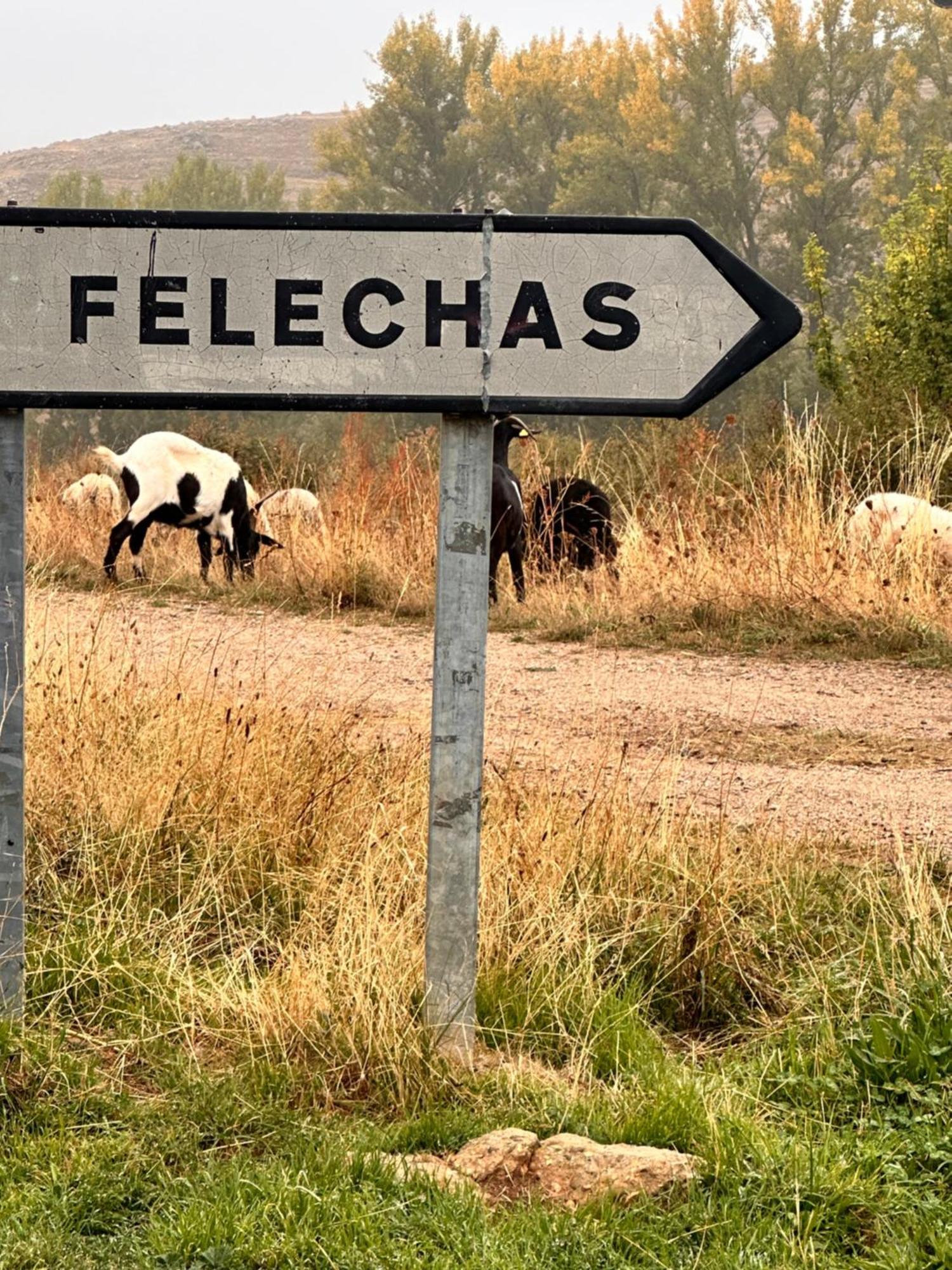 Tres Horreos * Felechas