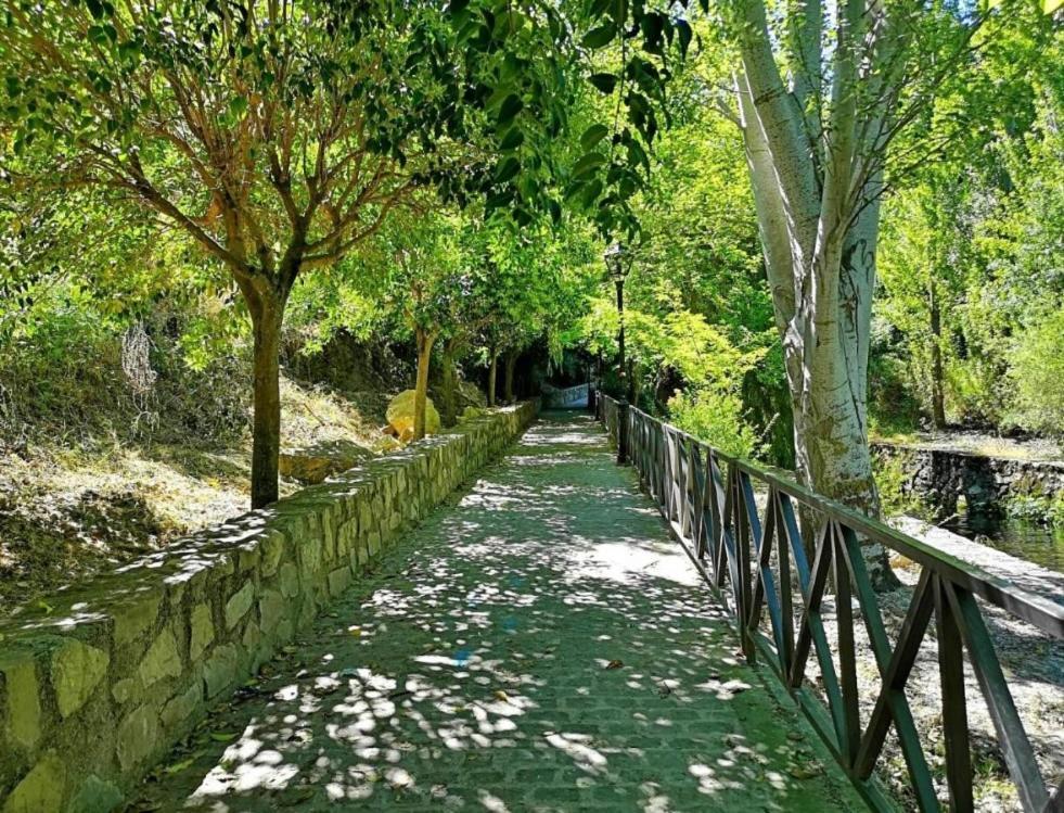 El Rincon De Elena Cazorla