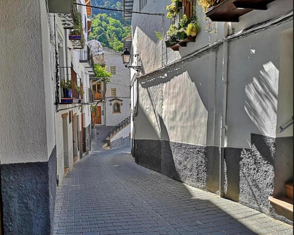 El Rincon De Elena Apartamento