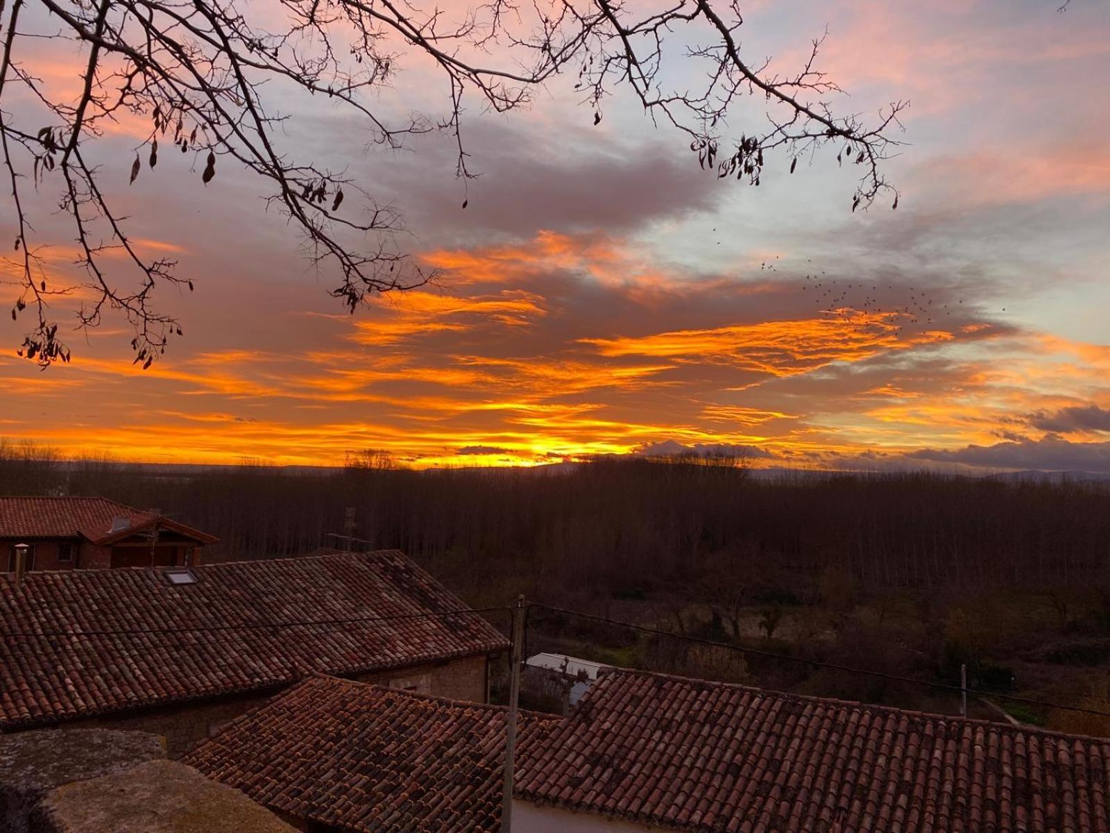 El Ciepede - Alfovar