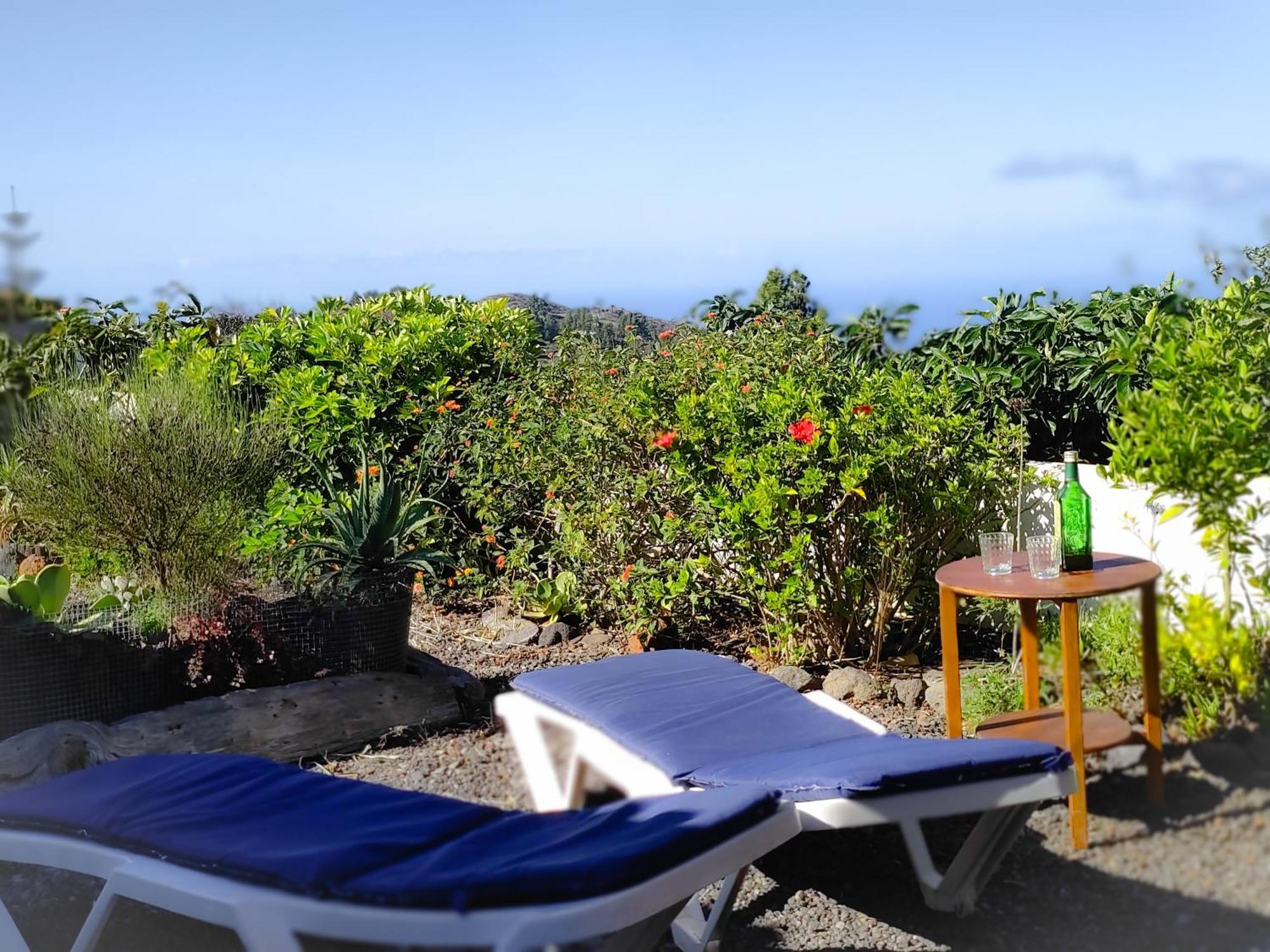 La Casa De La Cartita Puntagorda (La Palma)