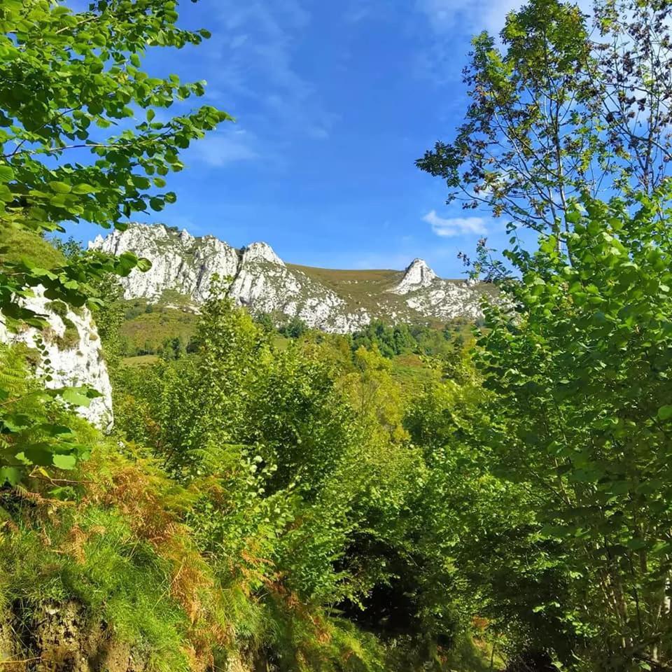 Rurales El Capricho De Carrio Apartment