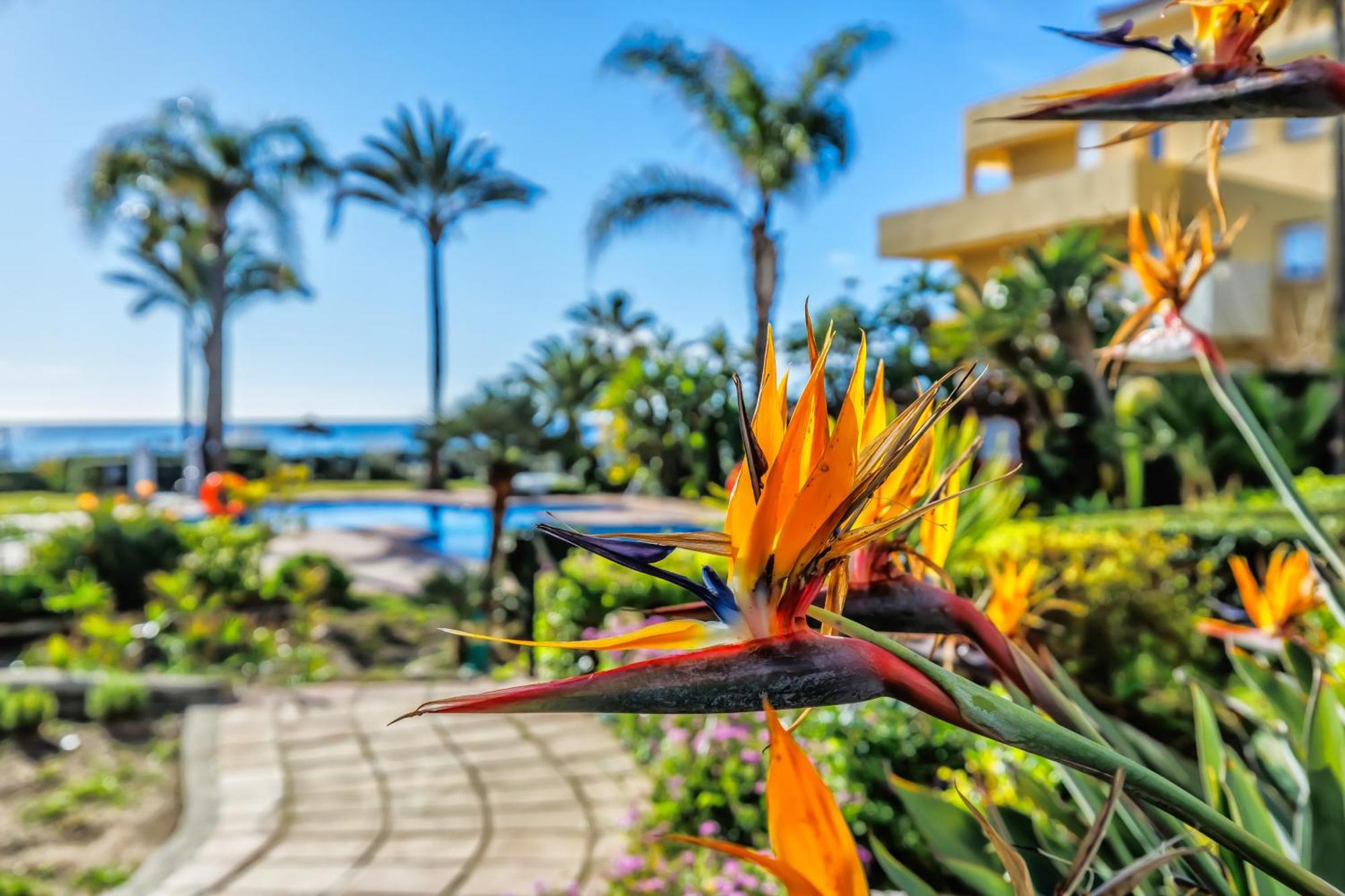 Luxury Duplex Sea Views La Cala * La Cala De Mijas