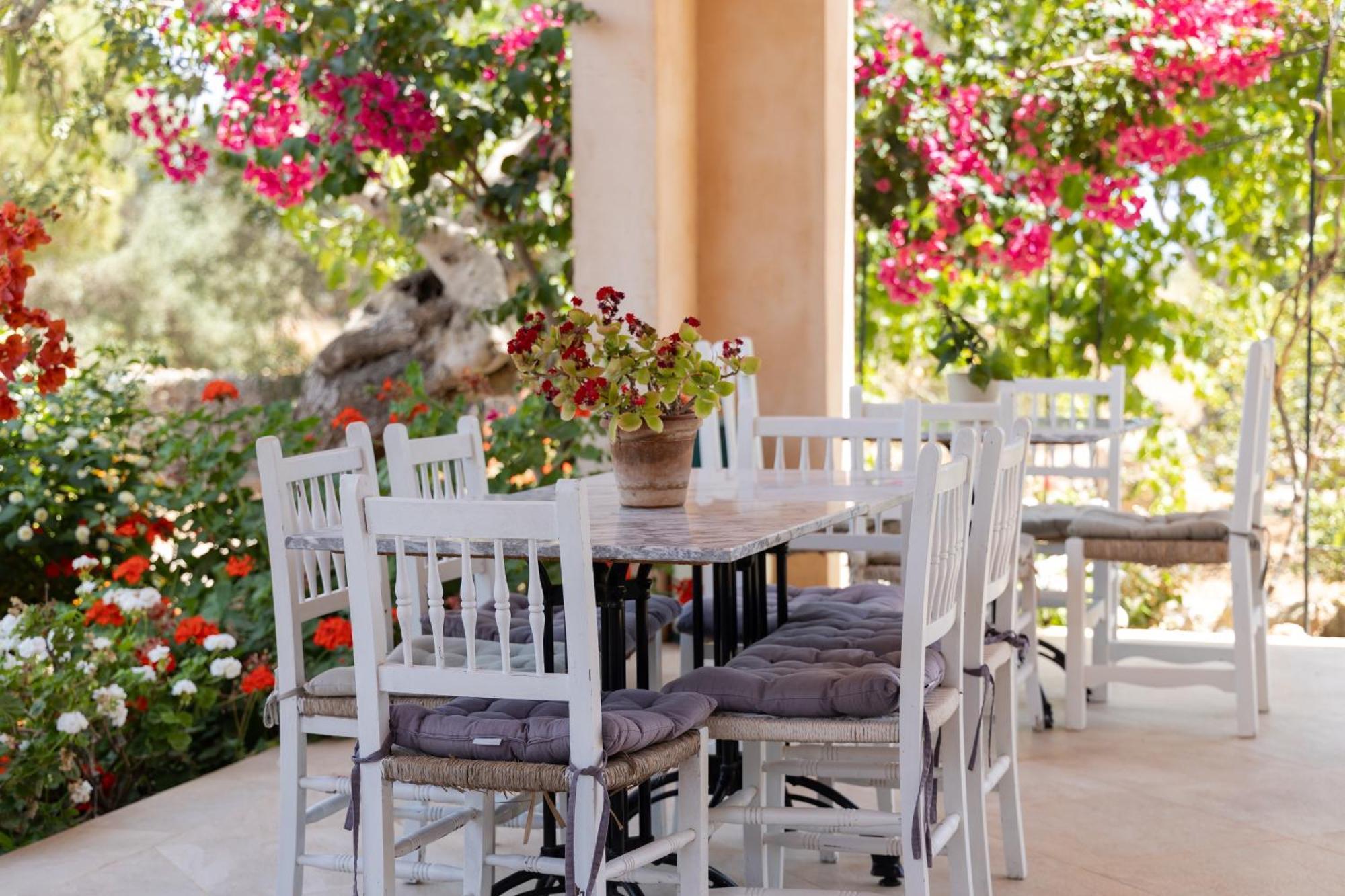 Son Marimon (adults Only) Farm stay