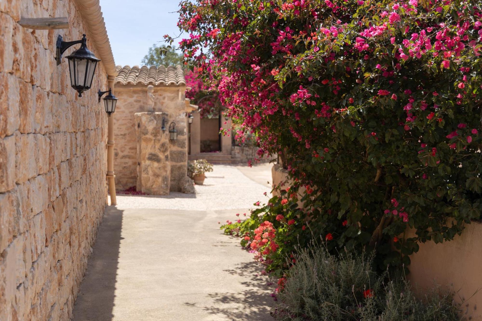 Son Marimon (adults Only) Farm stay Santanyi