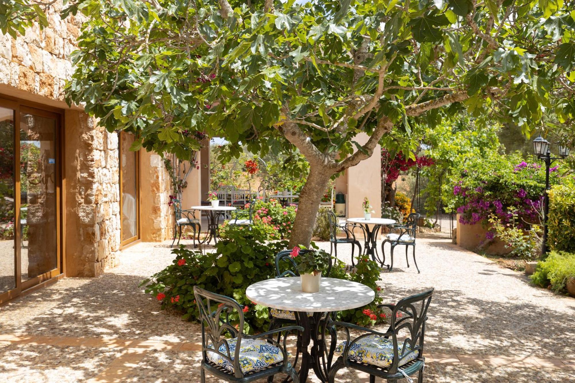 Farm stay Son Marimon (adults Only)