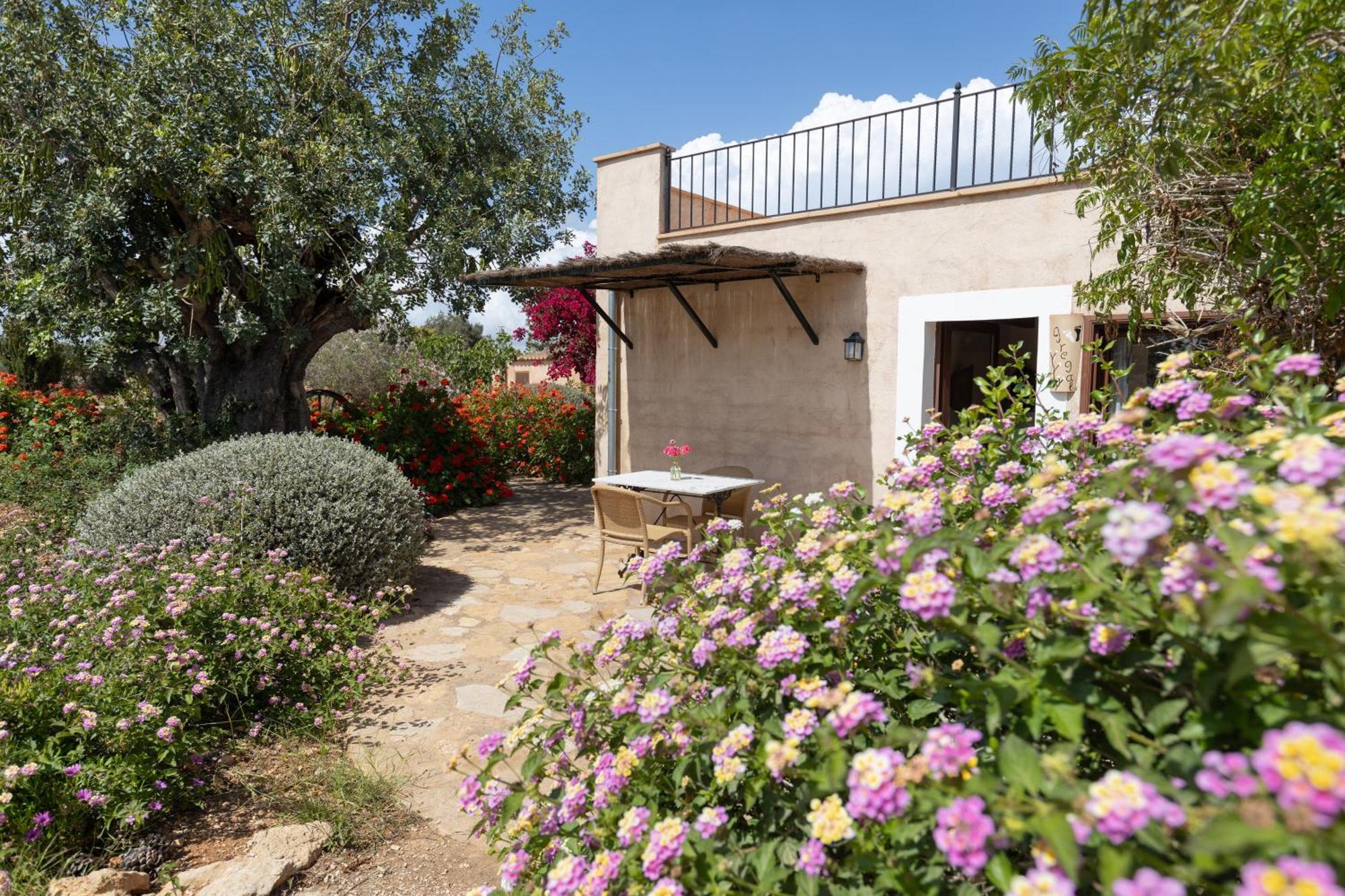 Son Marimon (adults Only) Santanyi