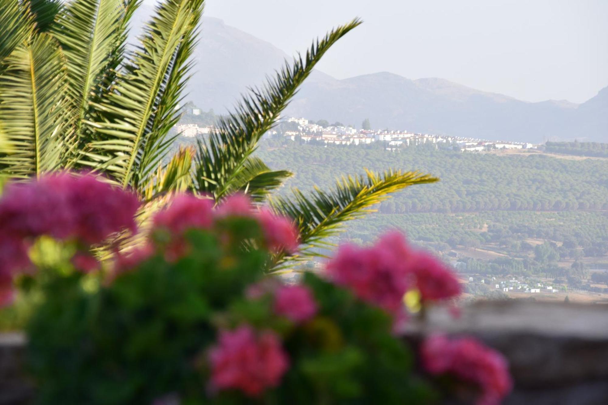 Casa Alta Bed and breakfast 2*