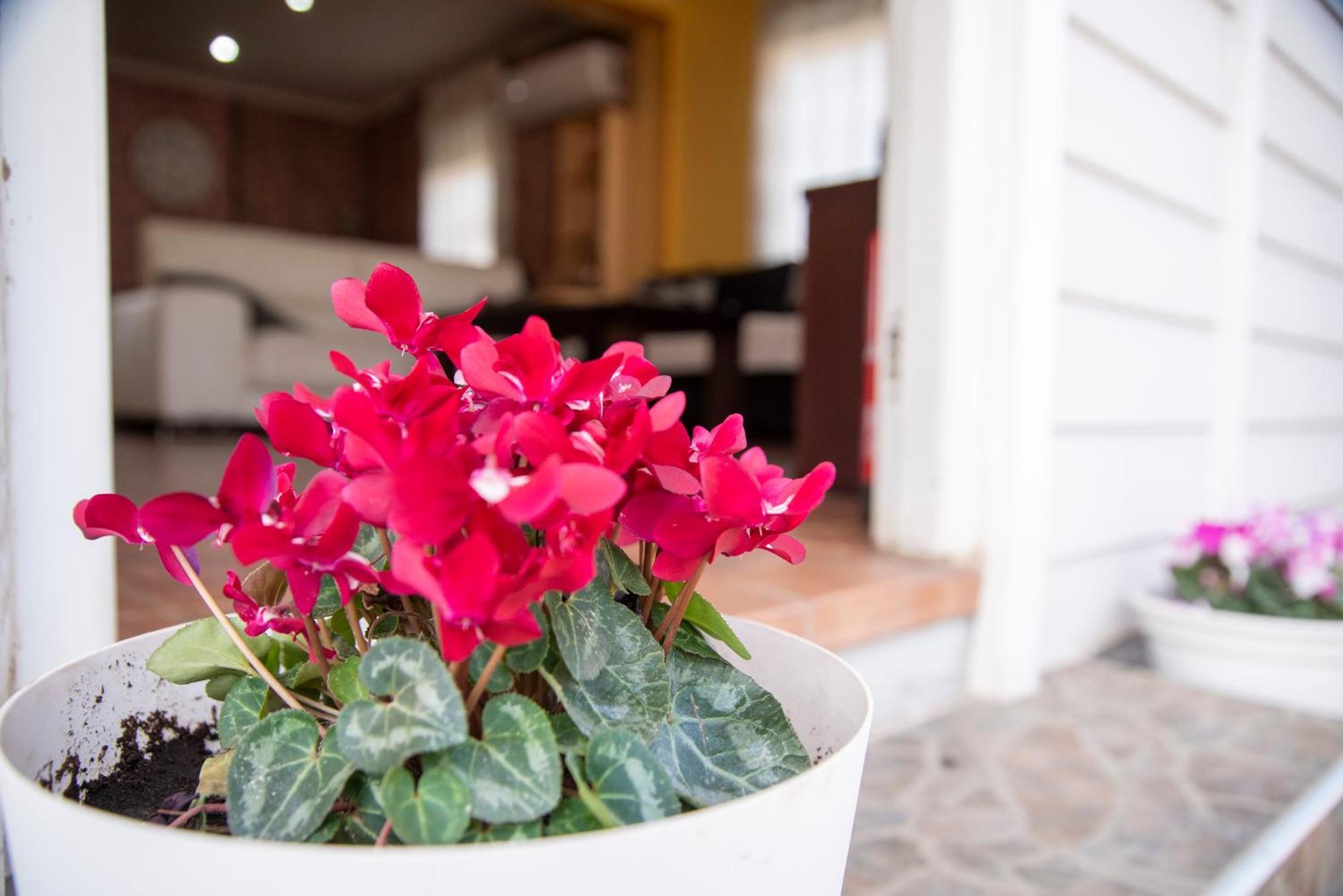 Country house Casa Melchor *