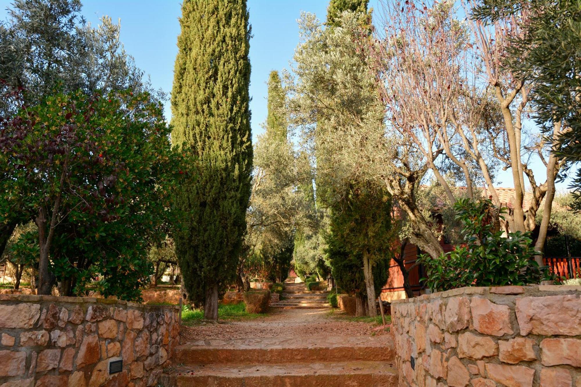 Campsite Camping Alquezar *