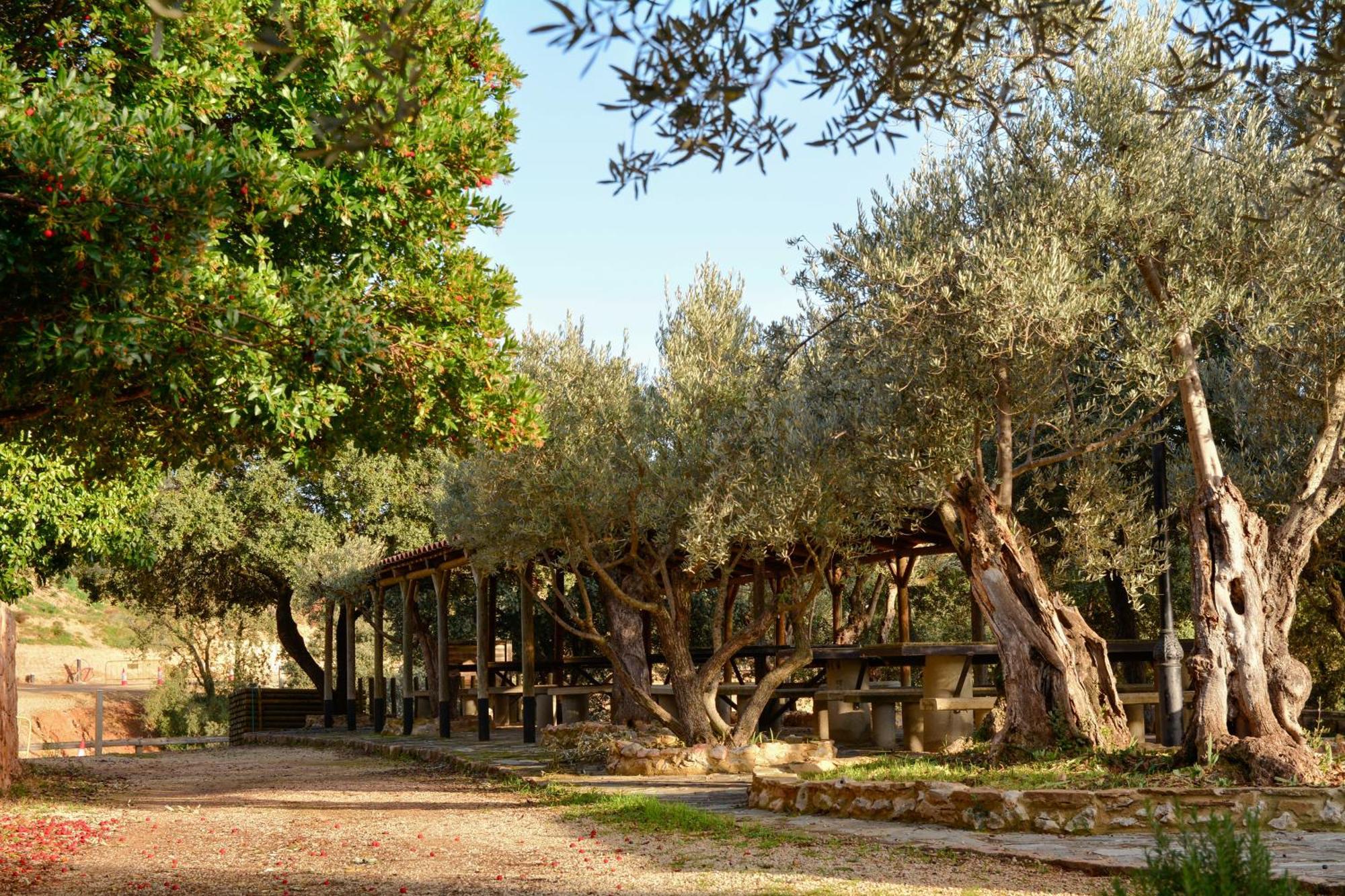 Camping Alquezar