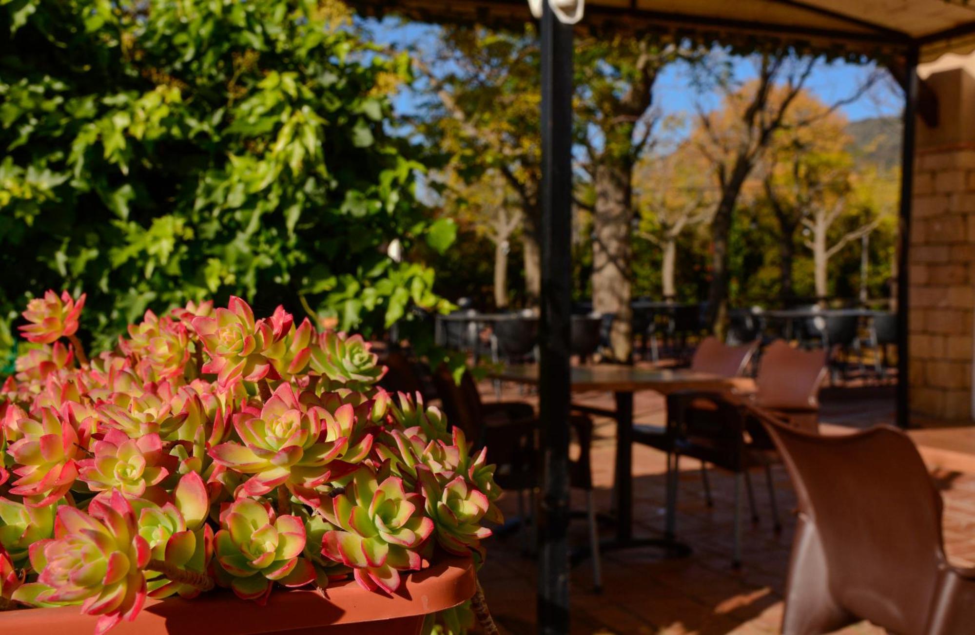Campsite Camping Alquezar