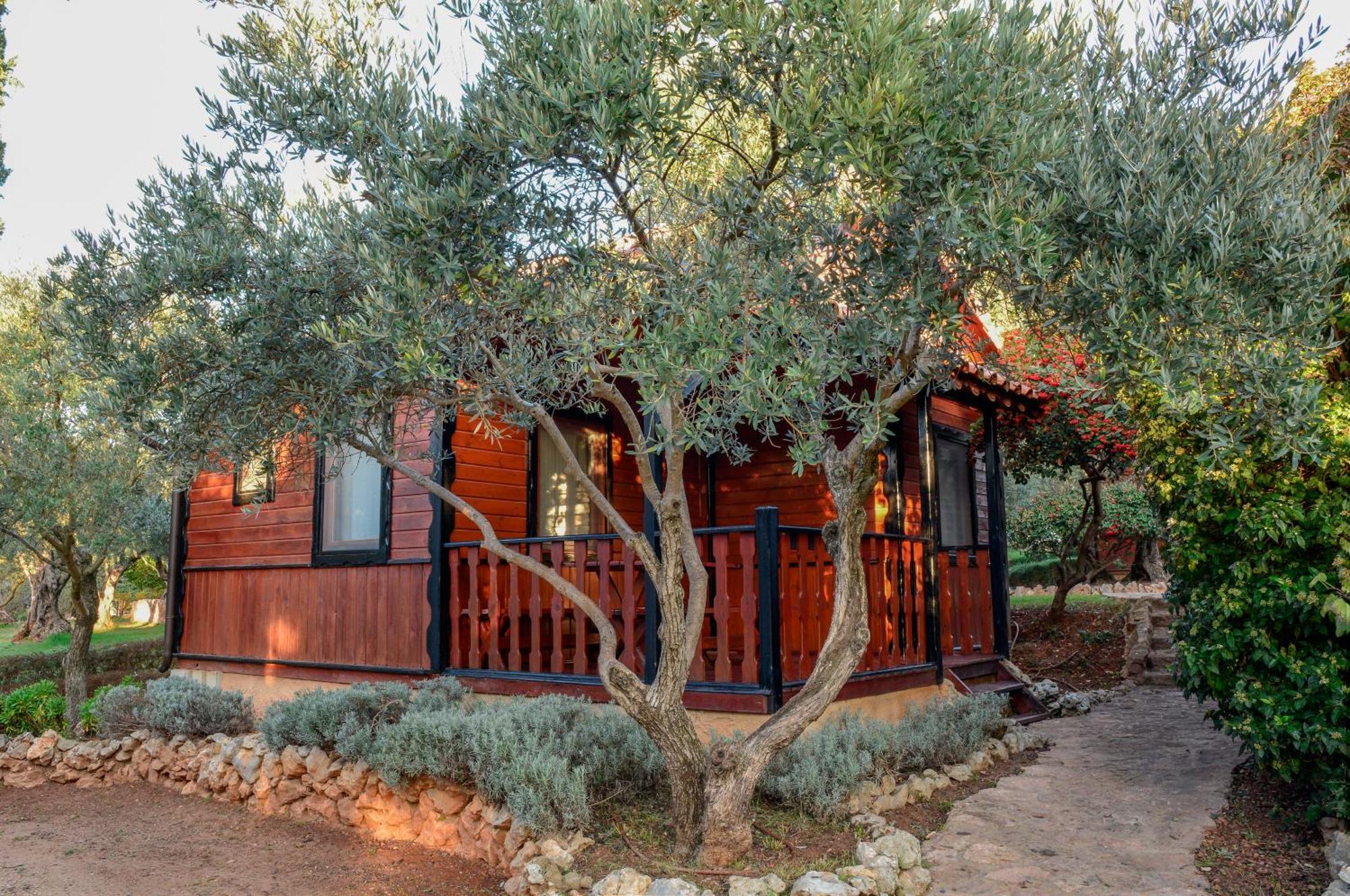Camping Alquezar Campsite *