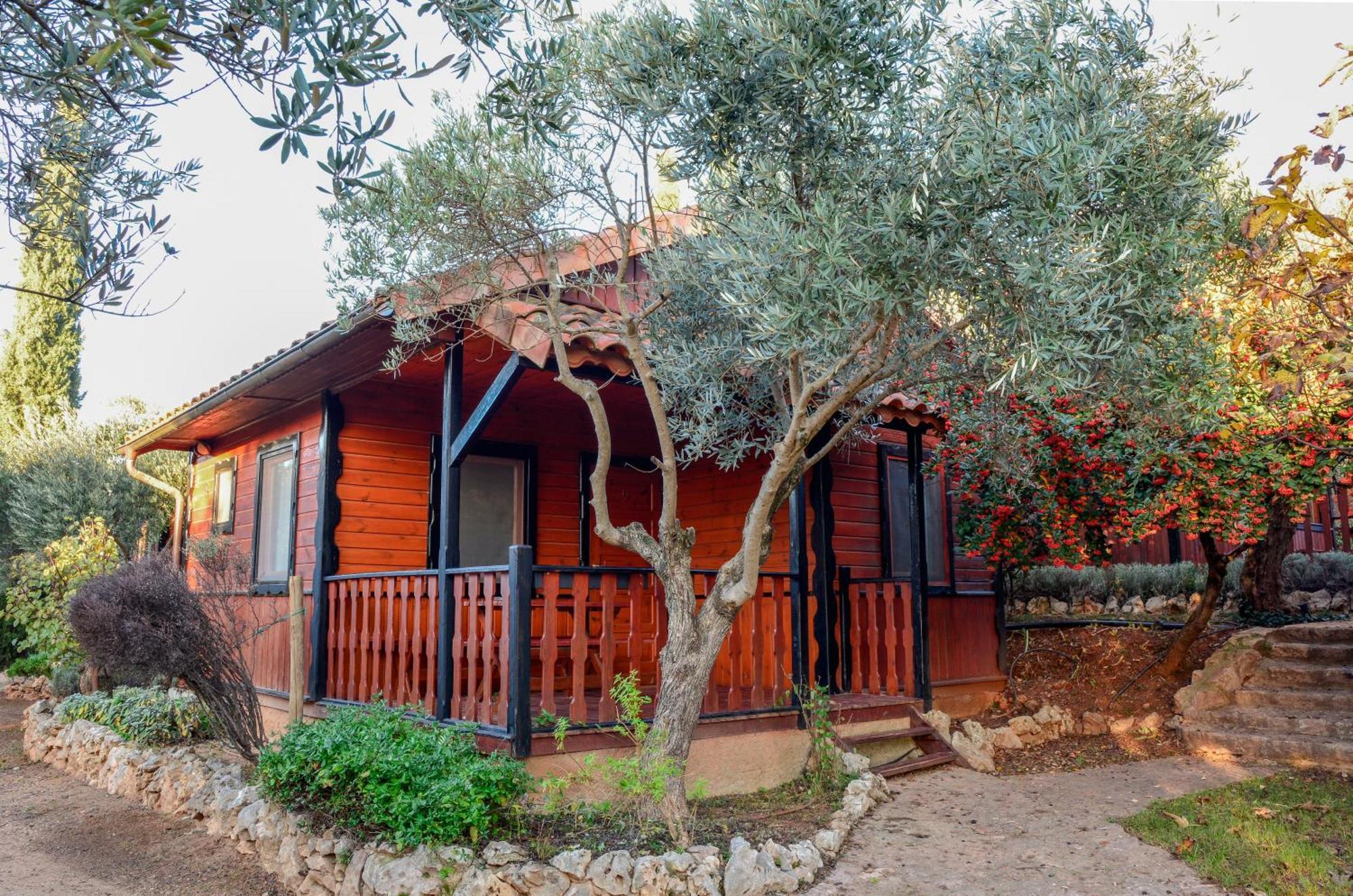 Campsite Camping Alquezar *