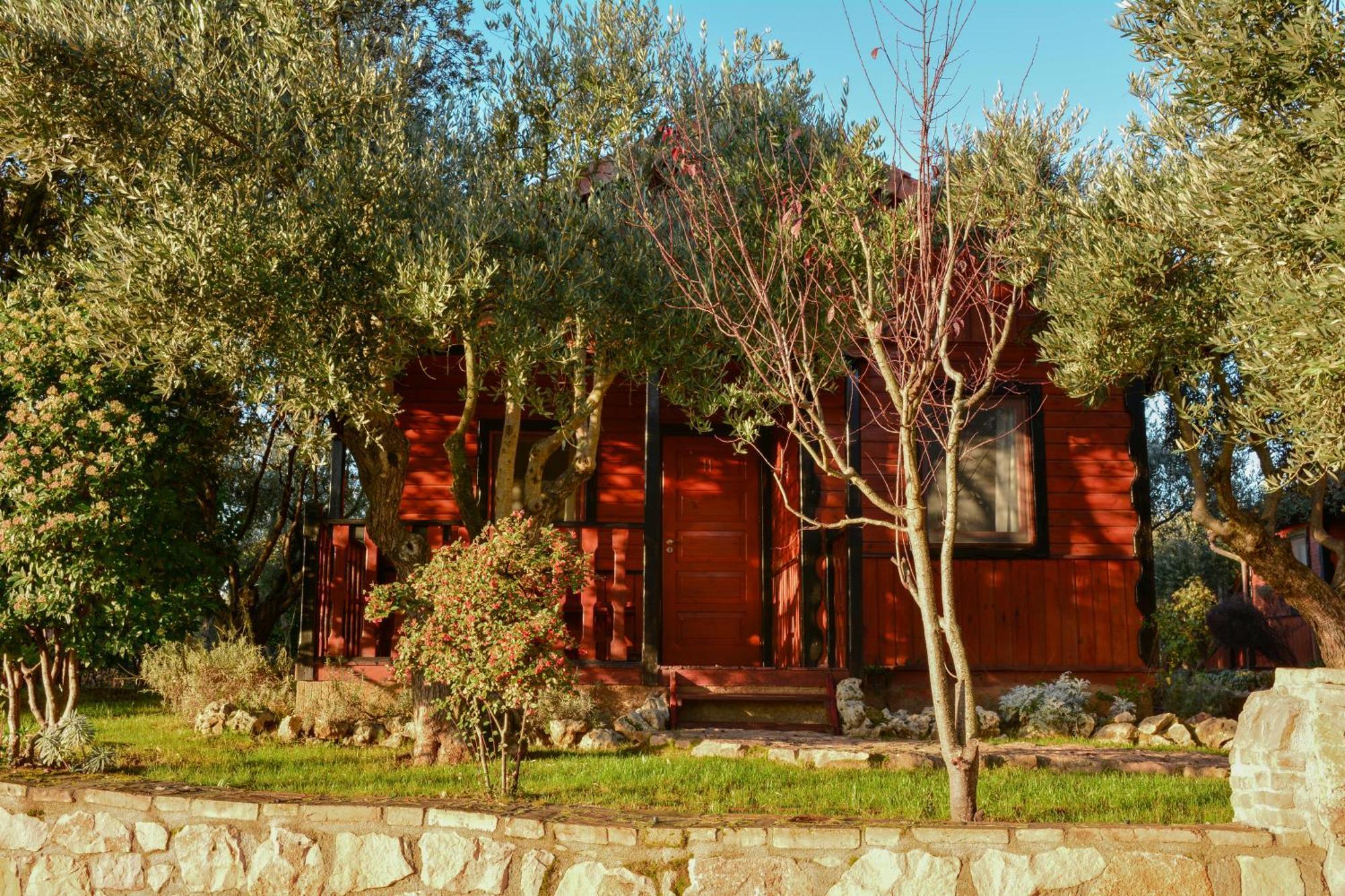 Camping Alquezar Campsite