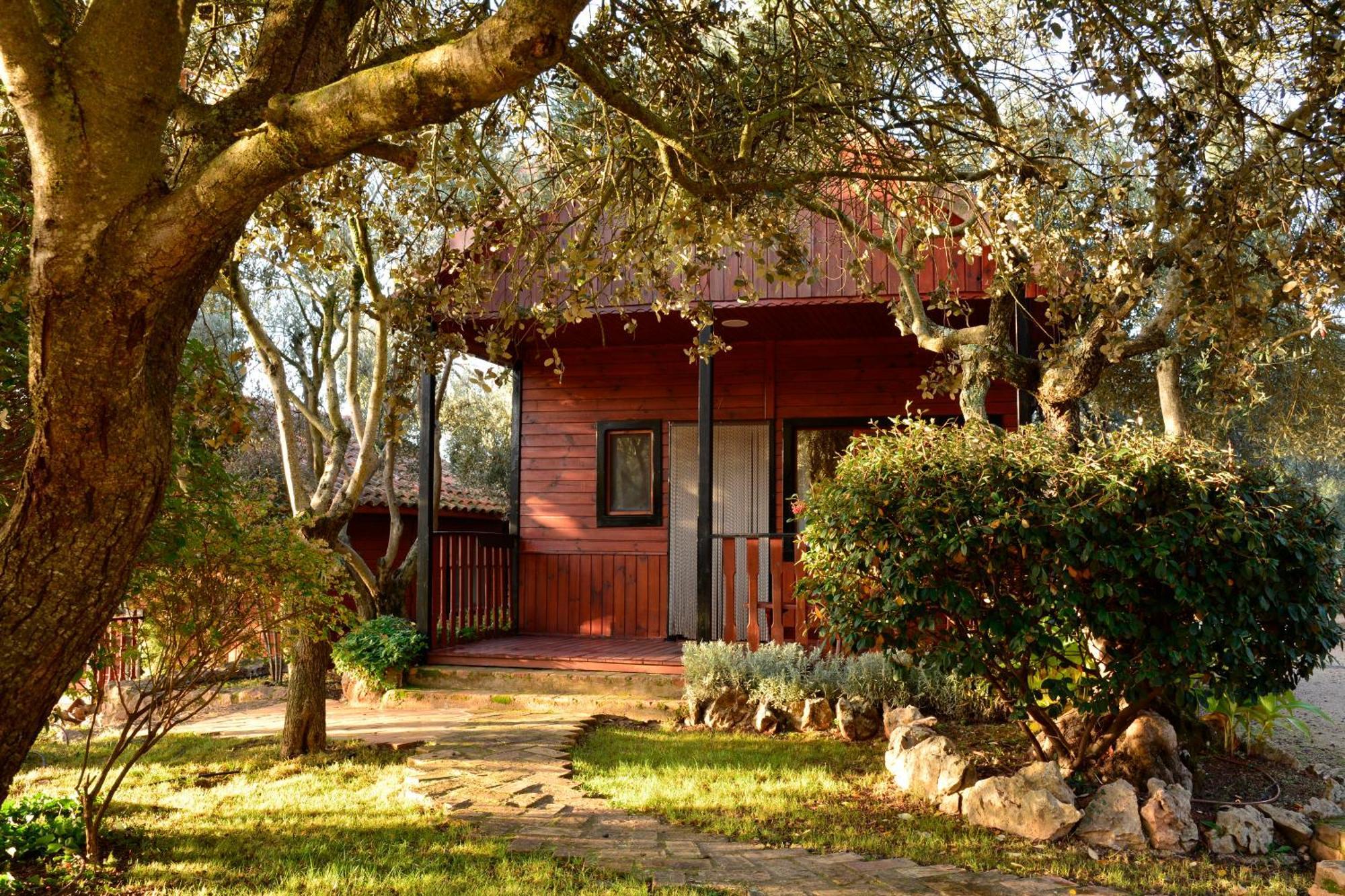 Campsite Camping Alquezar *
