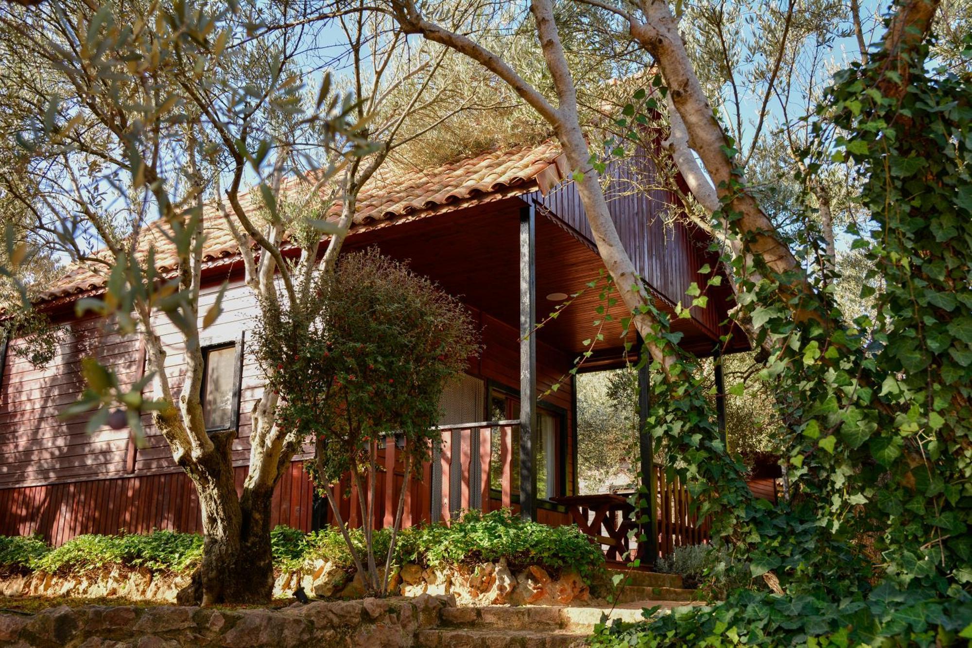 Camping Alquezar Campsite Alquezar