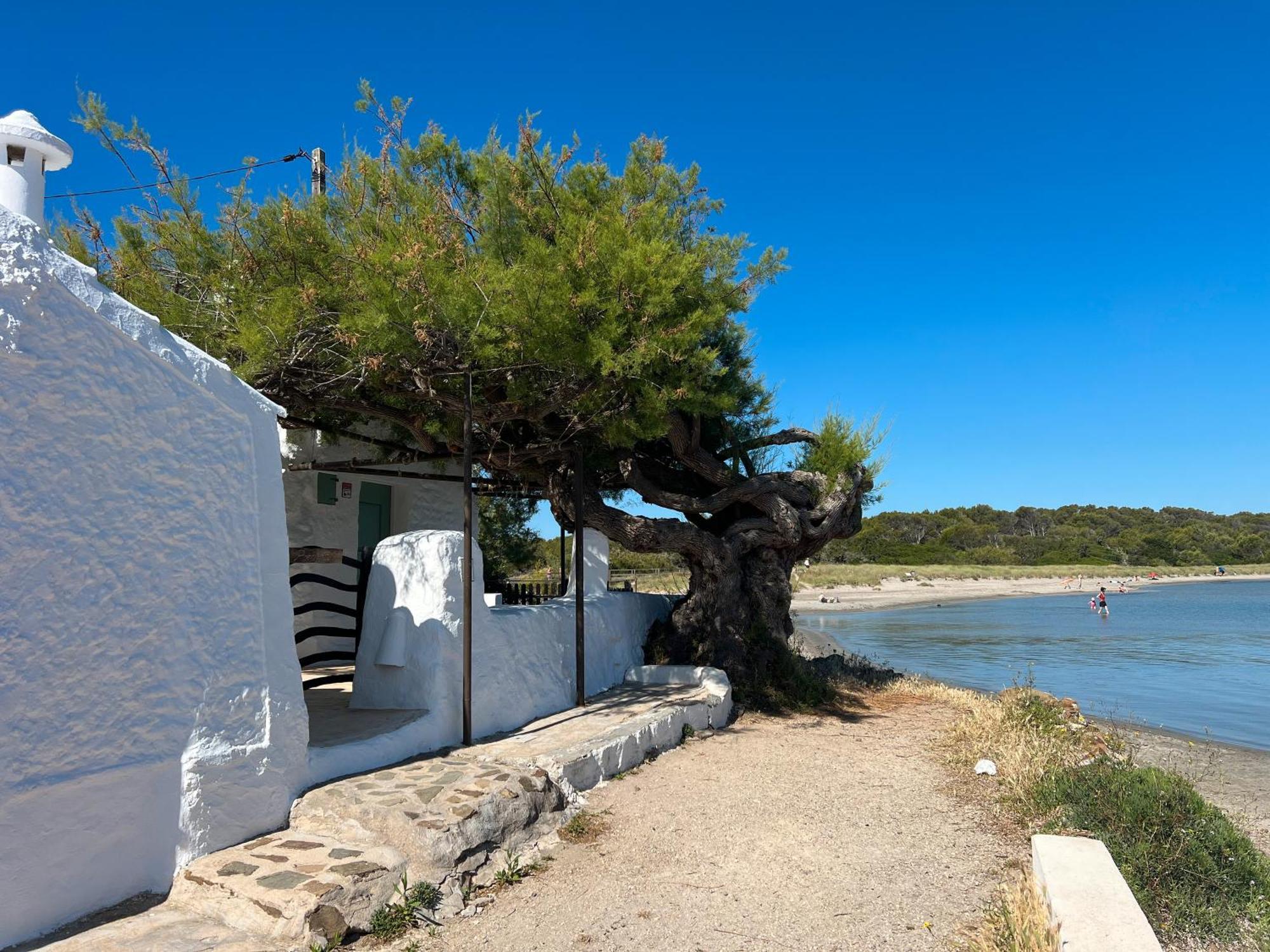 Apartamento Casa En La Playa *