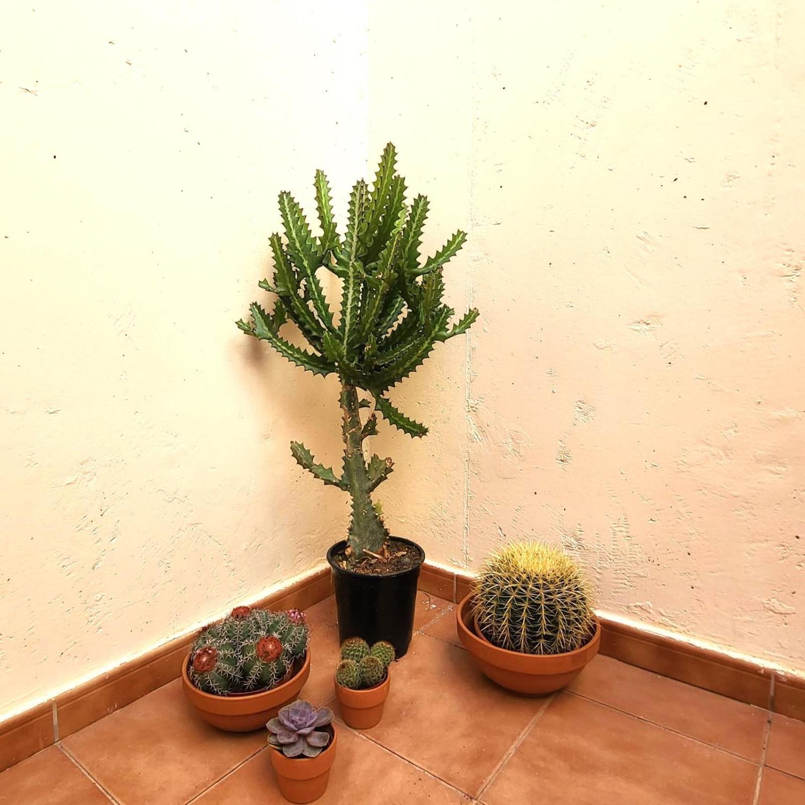 Bed & Breakfast Refugio Del Sol *
