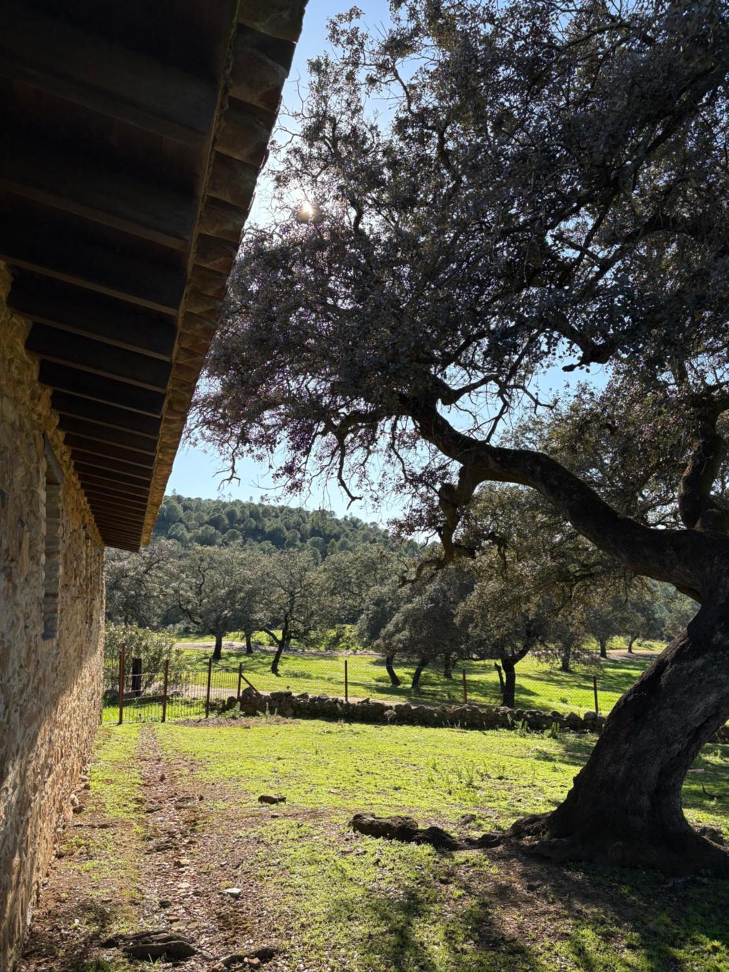 Finca Los Caleros