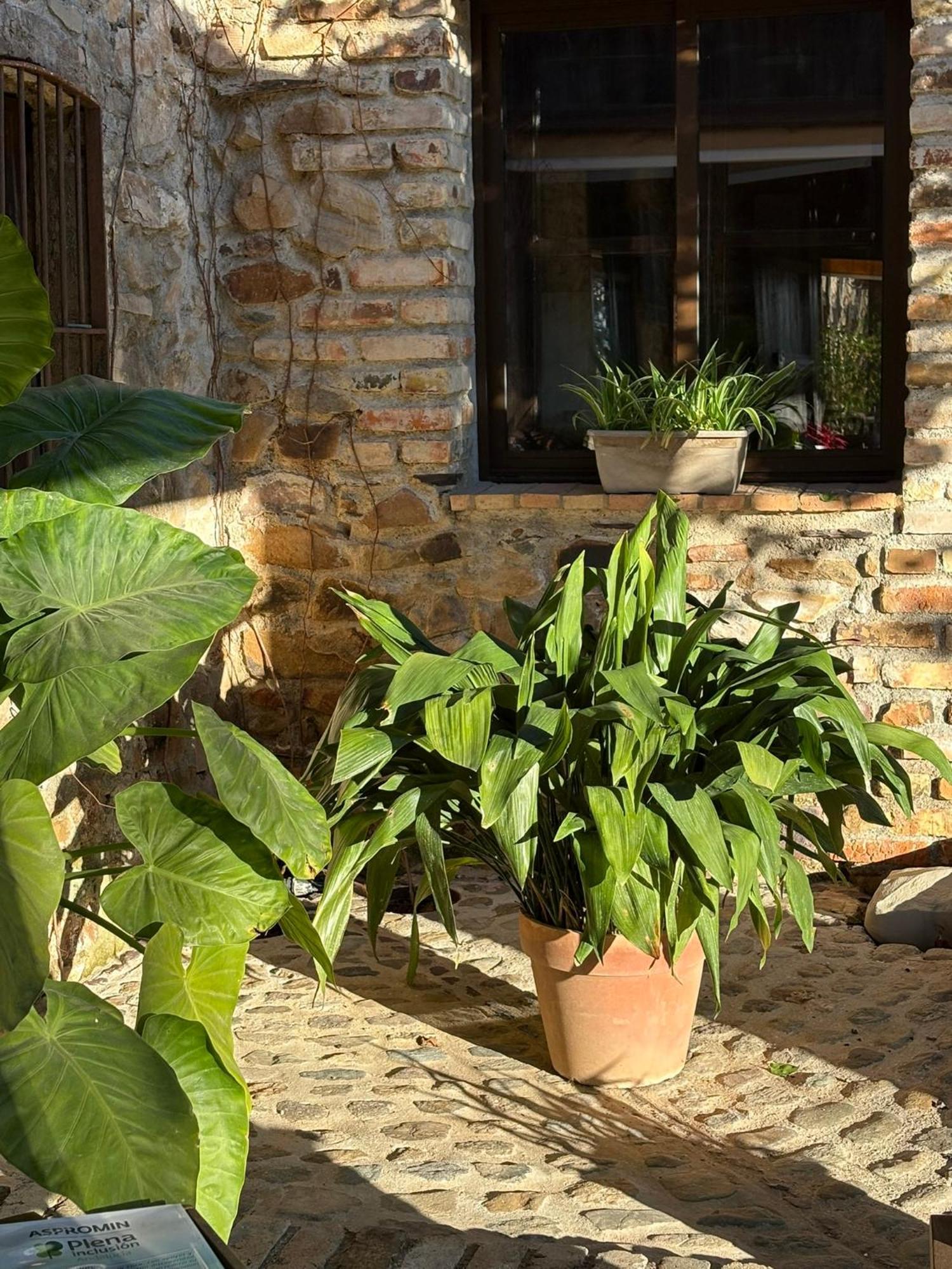 Finca Los Caleros Resort