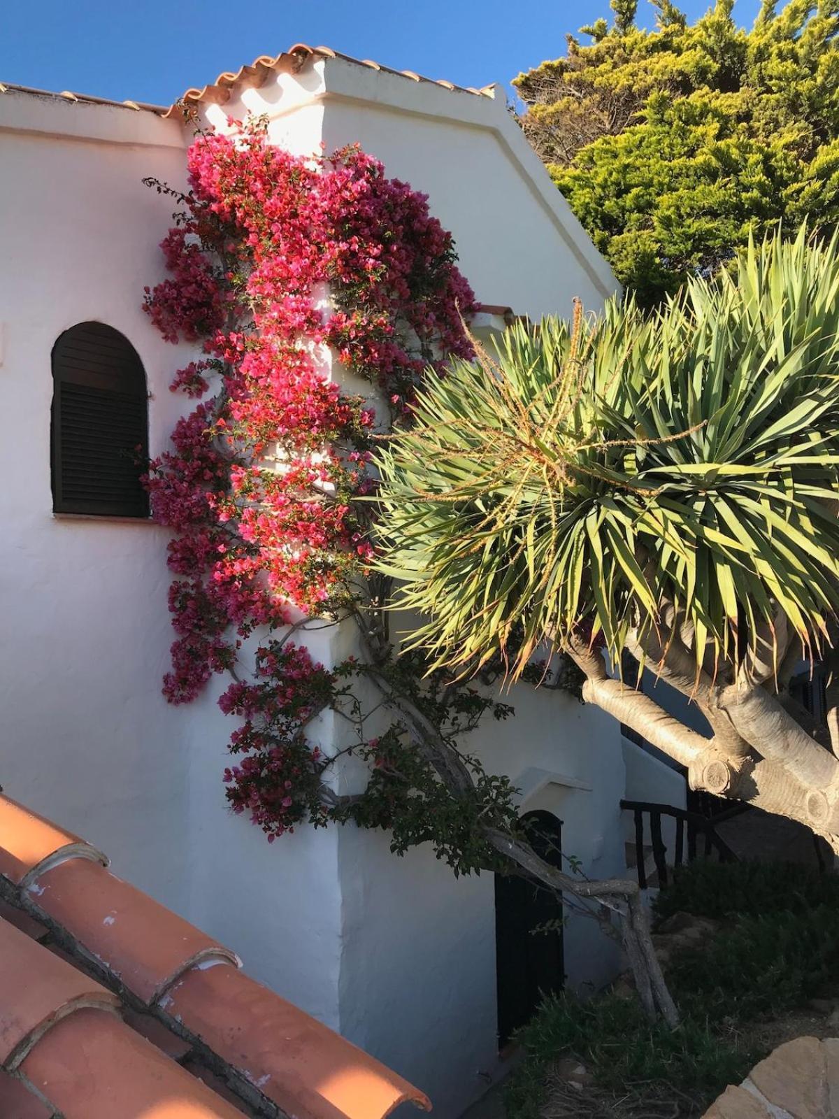 Apartamento Lovely Menorca, Amazing Sea Views And Sunsets.