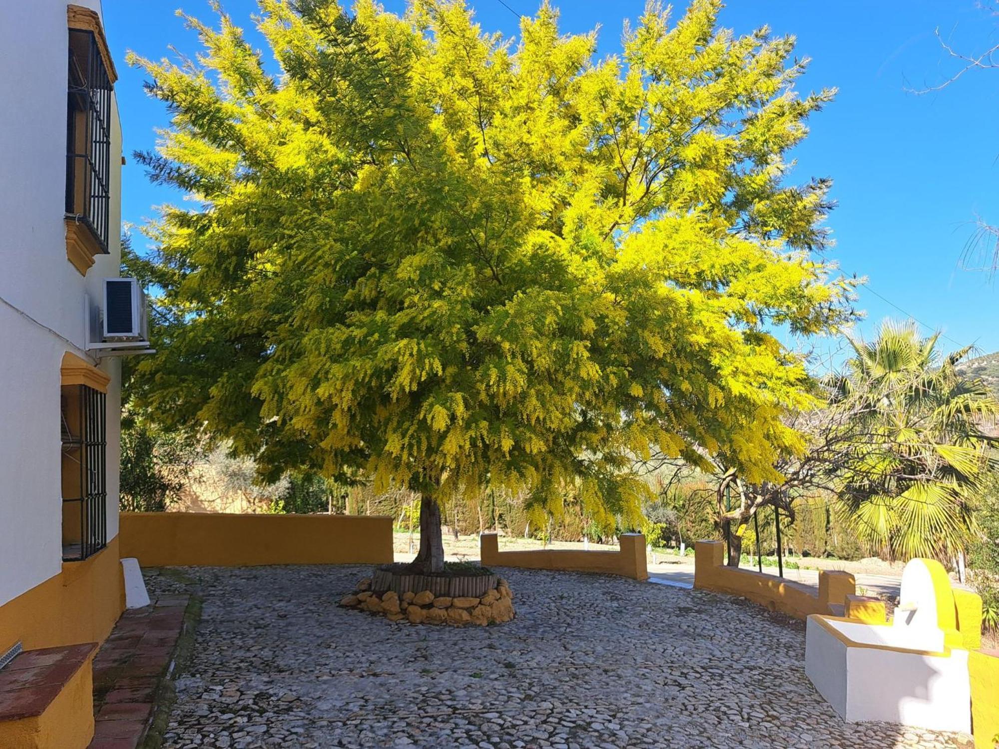 Cortijo La Canada Сasa de vacaciones *