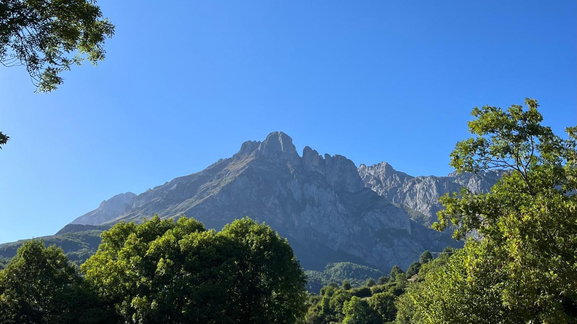 Remoña 1