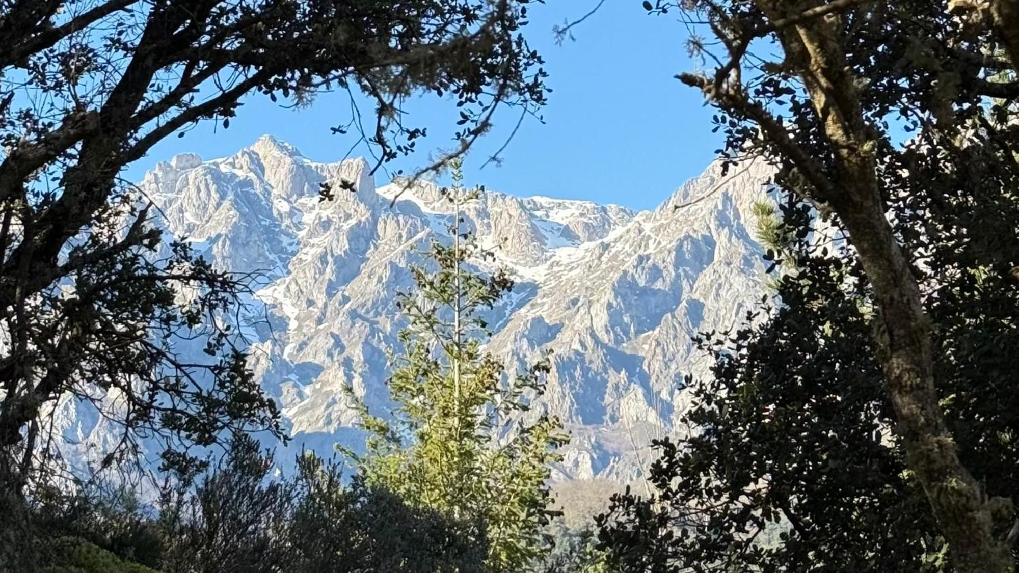 Remoña 1 *
