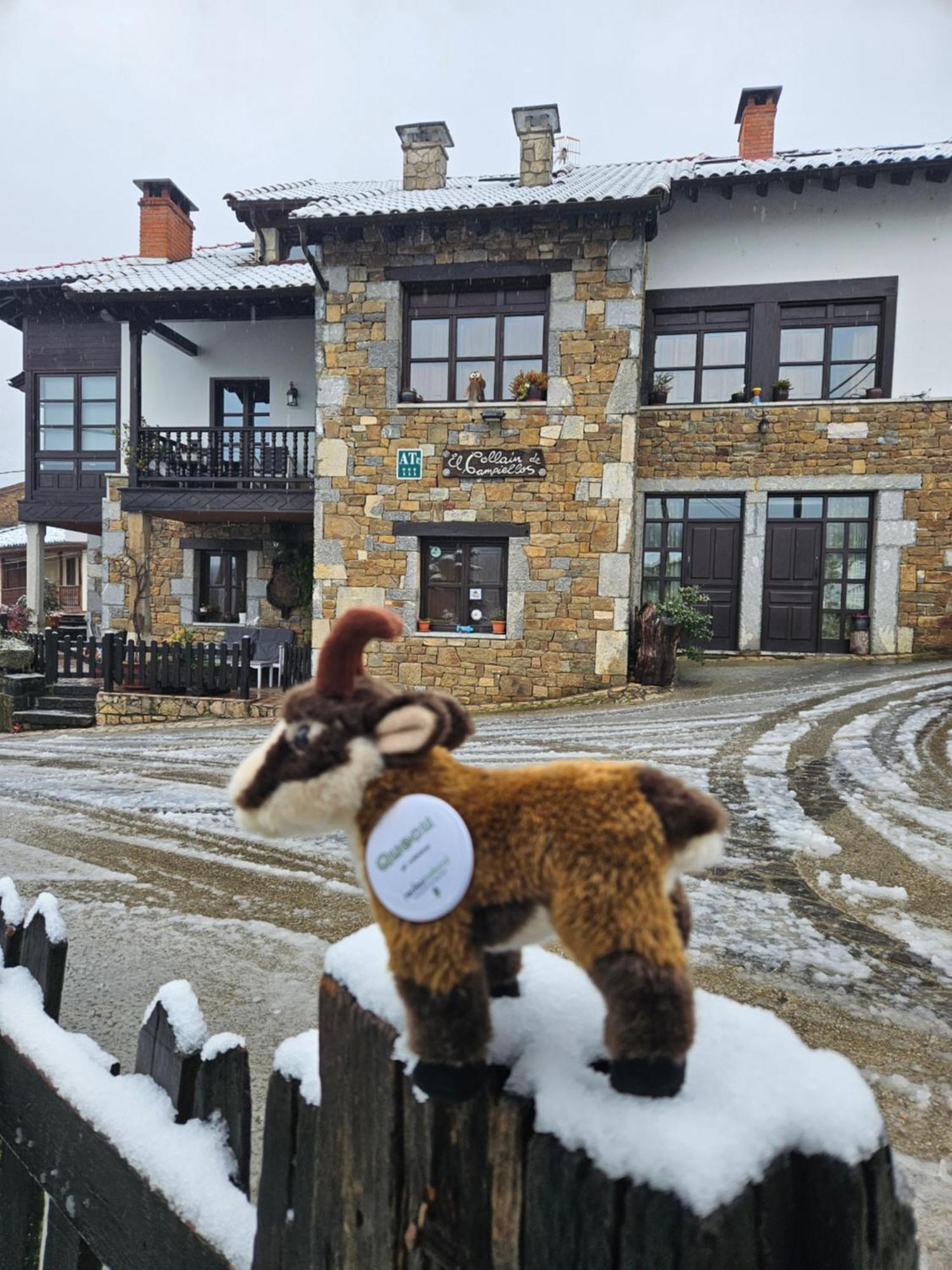 Rurales El Collaín De Campiellos