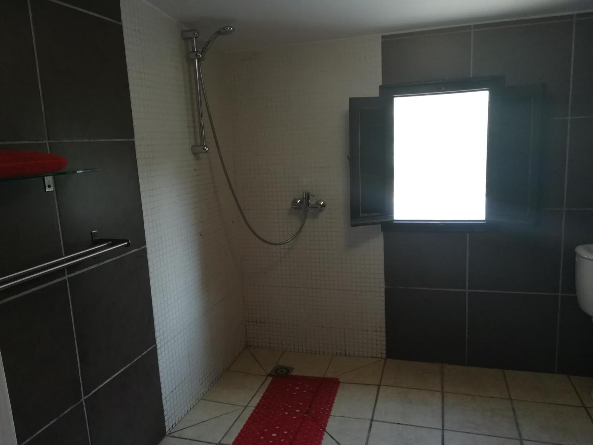 Guest house Olive Branch *